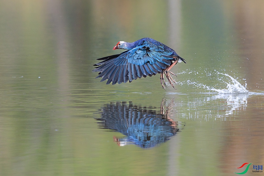 6H7A8392 ����.jpg