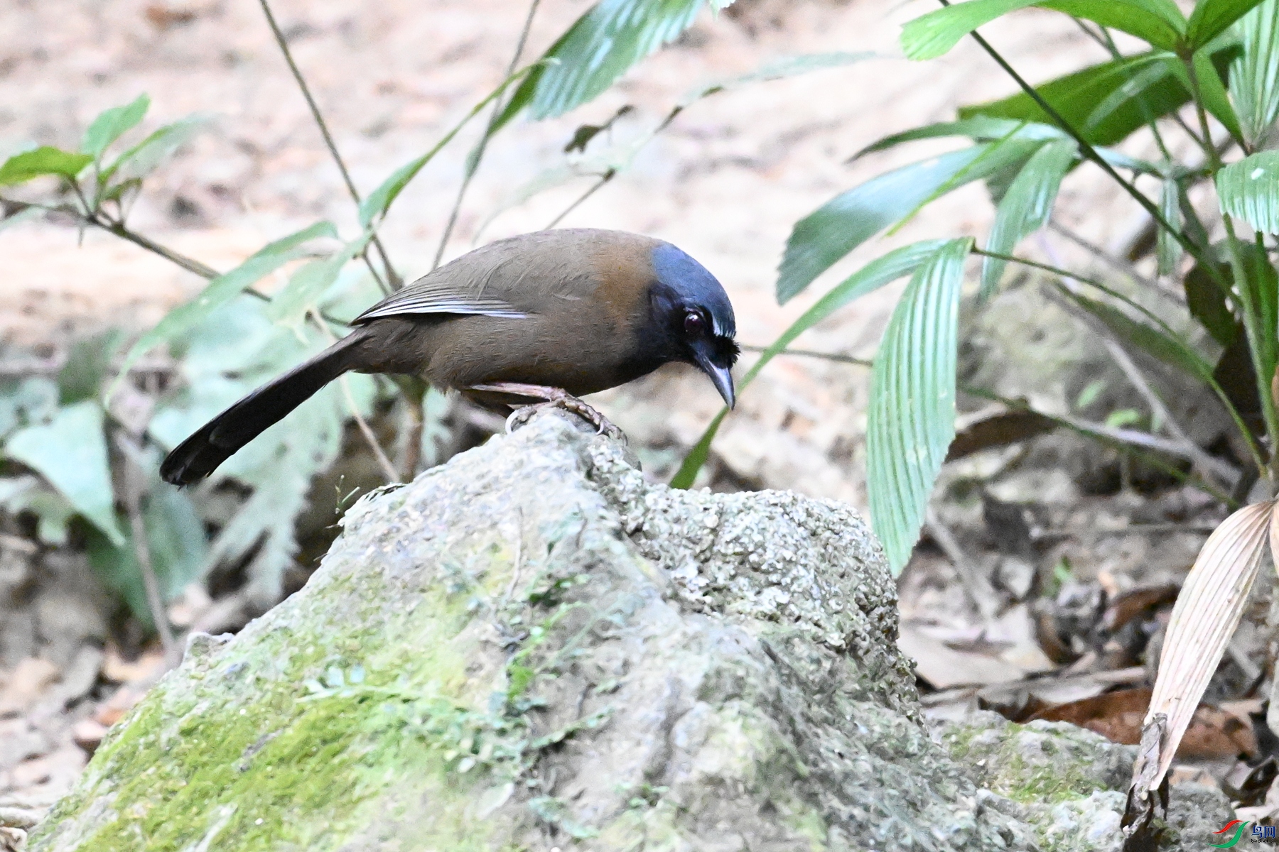 DSC_7653.JPG