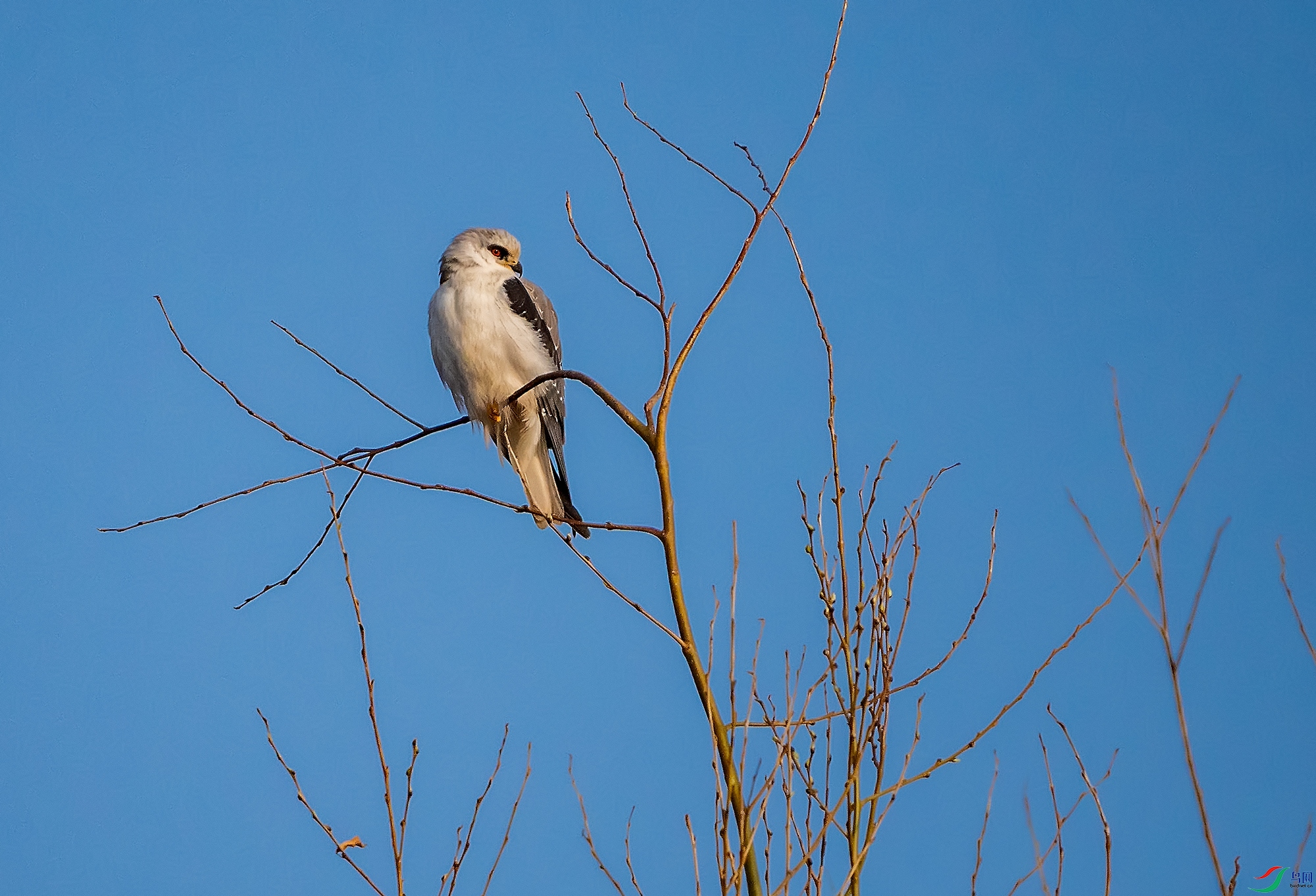 DSC02876 ����.jpg