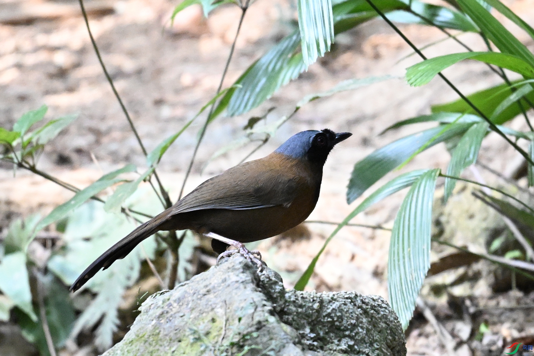 DSC_7665.JPG
