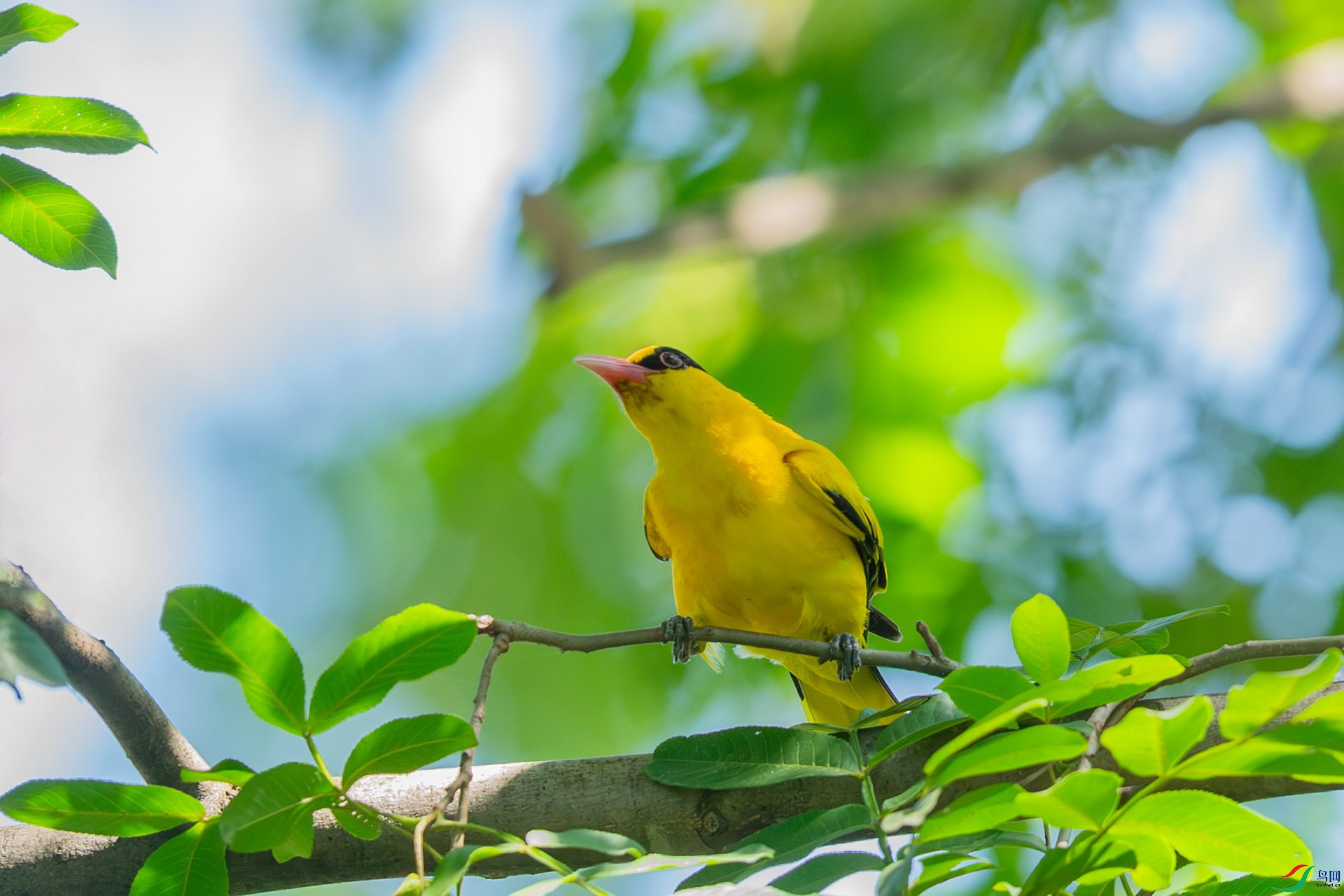 DSC_2173.jpg