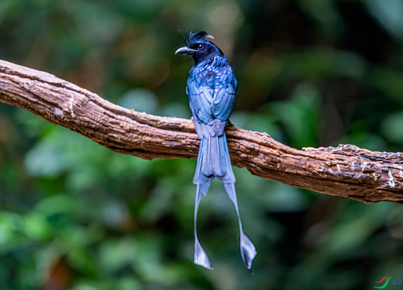 _DSC7446-11.jpg