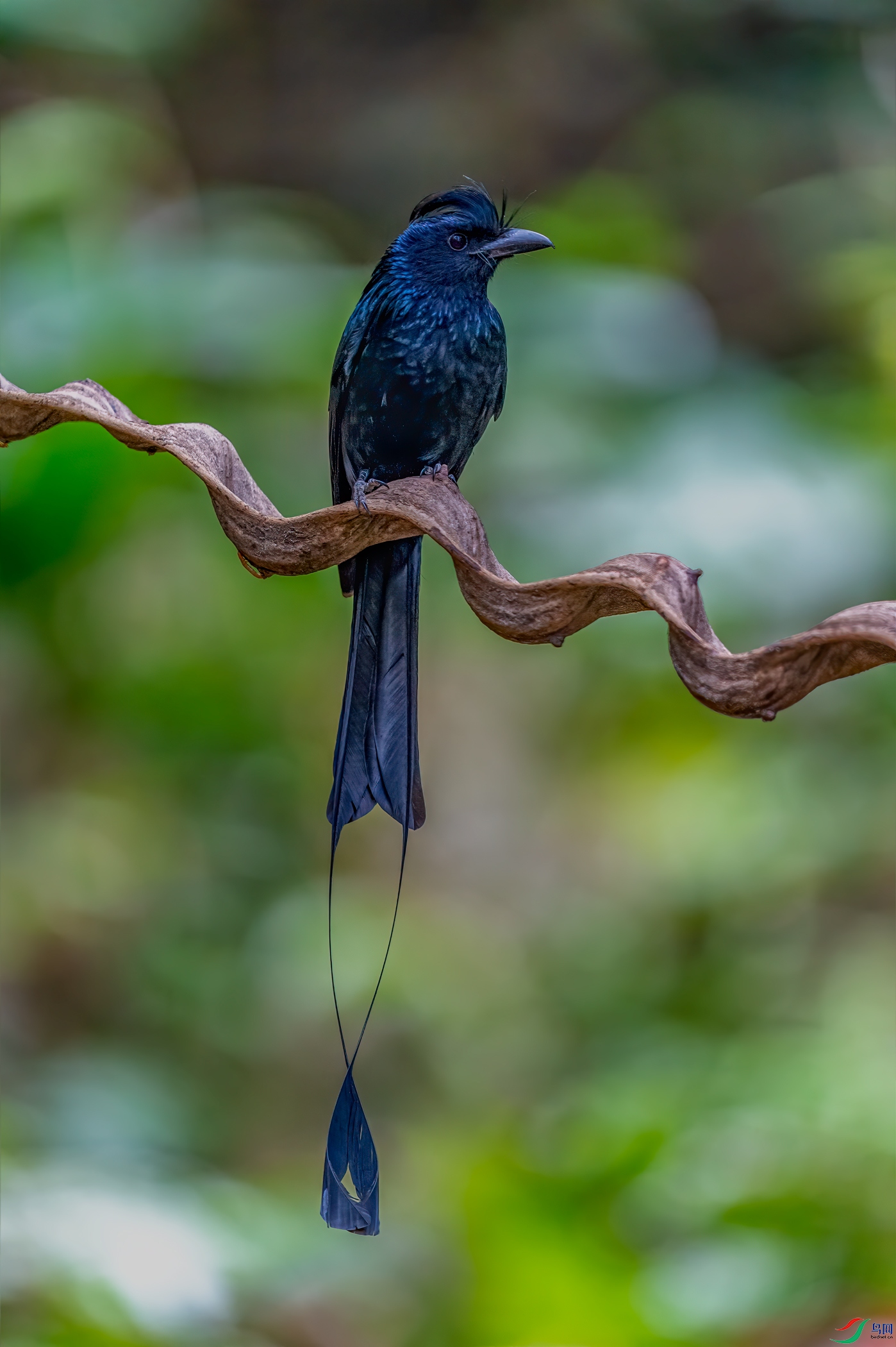 _DSC9006-11.jpg