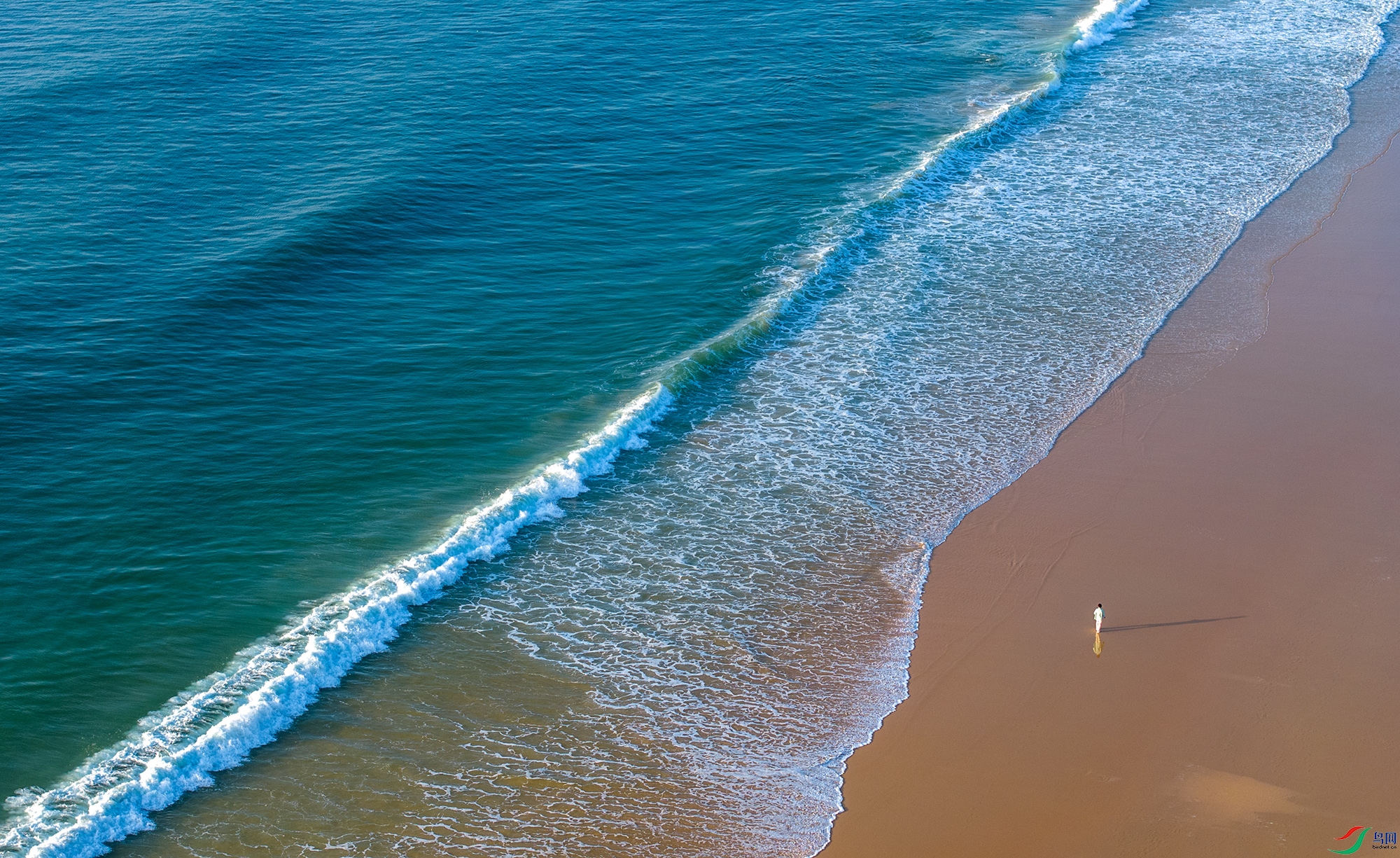 DJI_20250113080355_0232_D ����.jpg