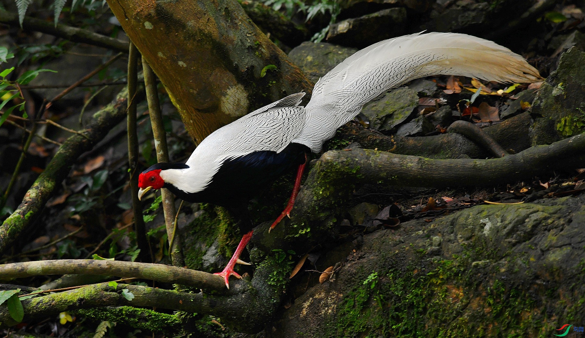 DSC_1665.jpg