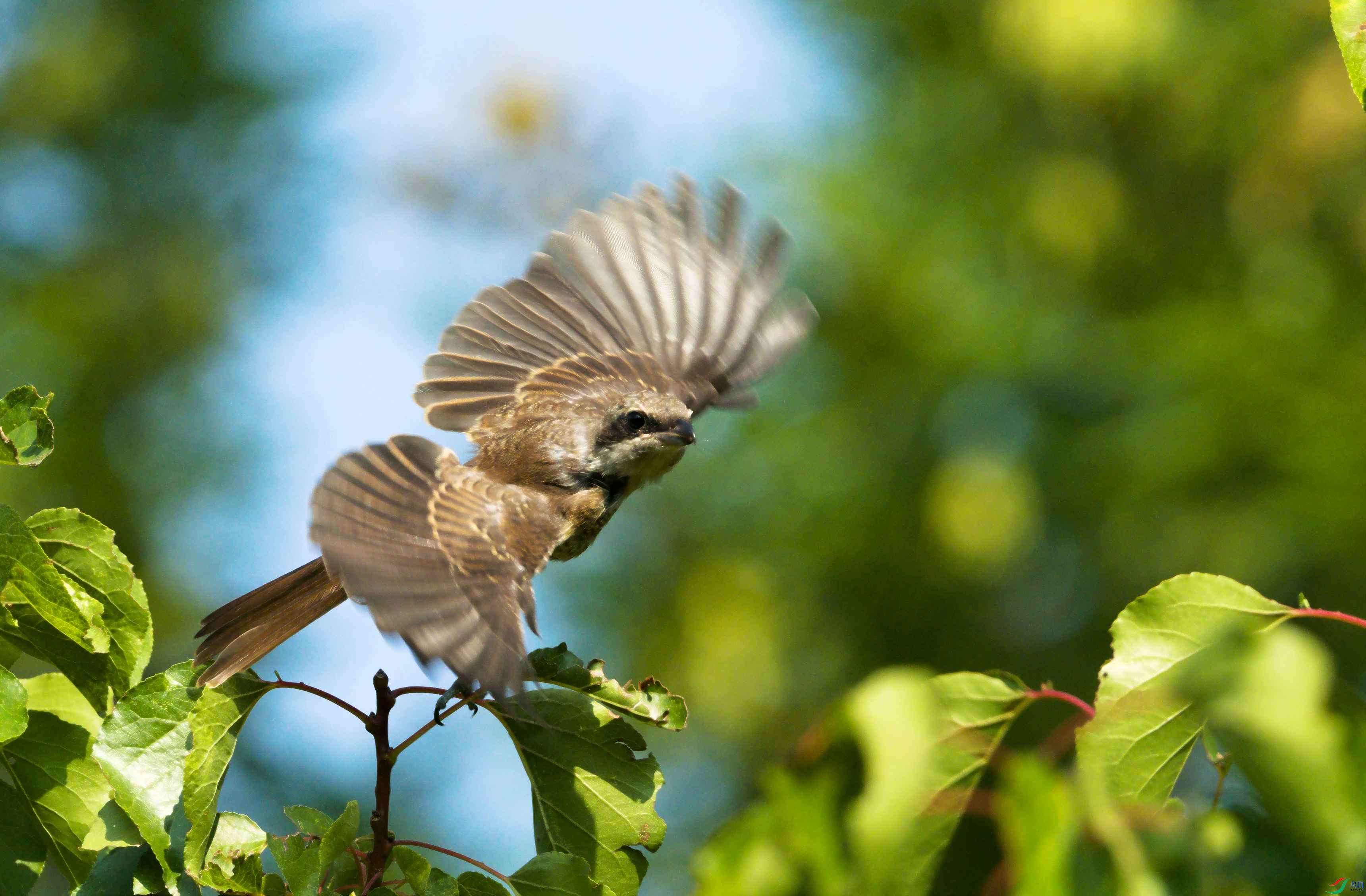 P7200648_����.jpg