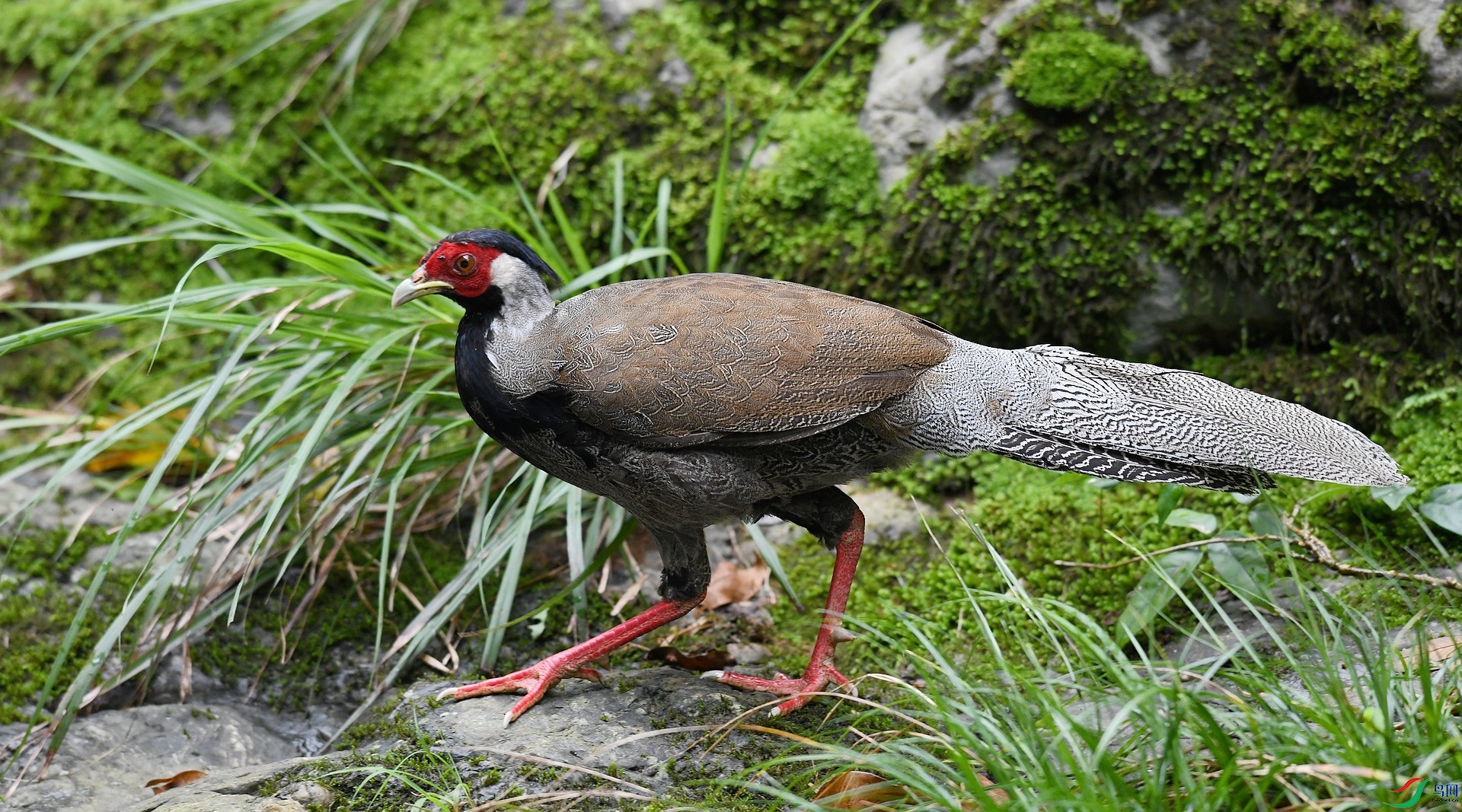 DSC_2057.jpg