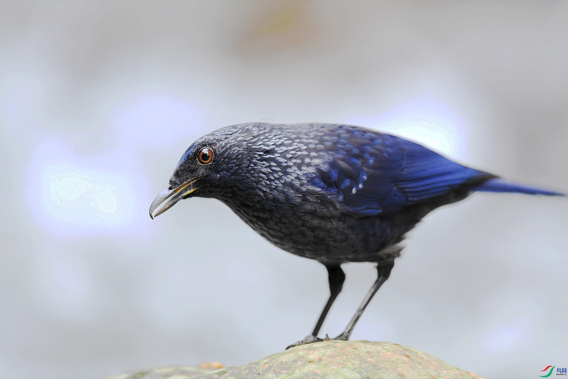 DSC_6835.jpg