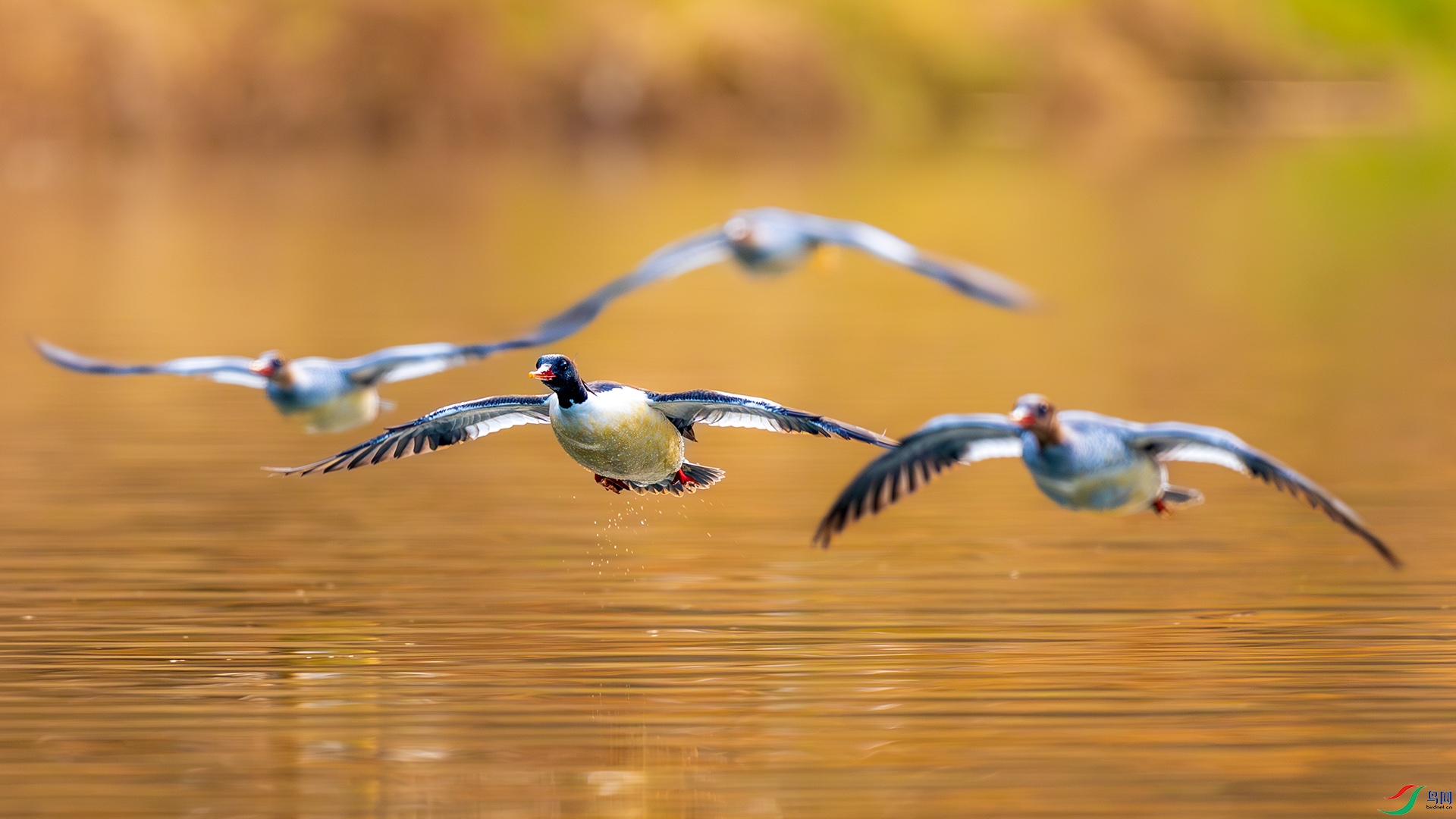 _F9A9909 ����.jpg