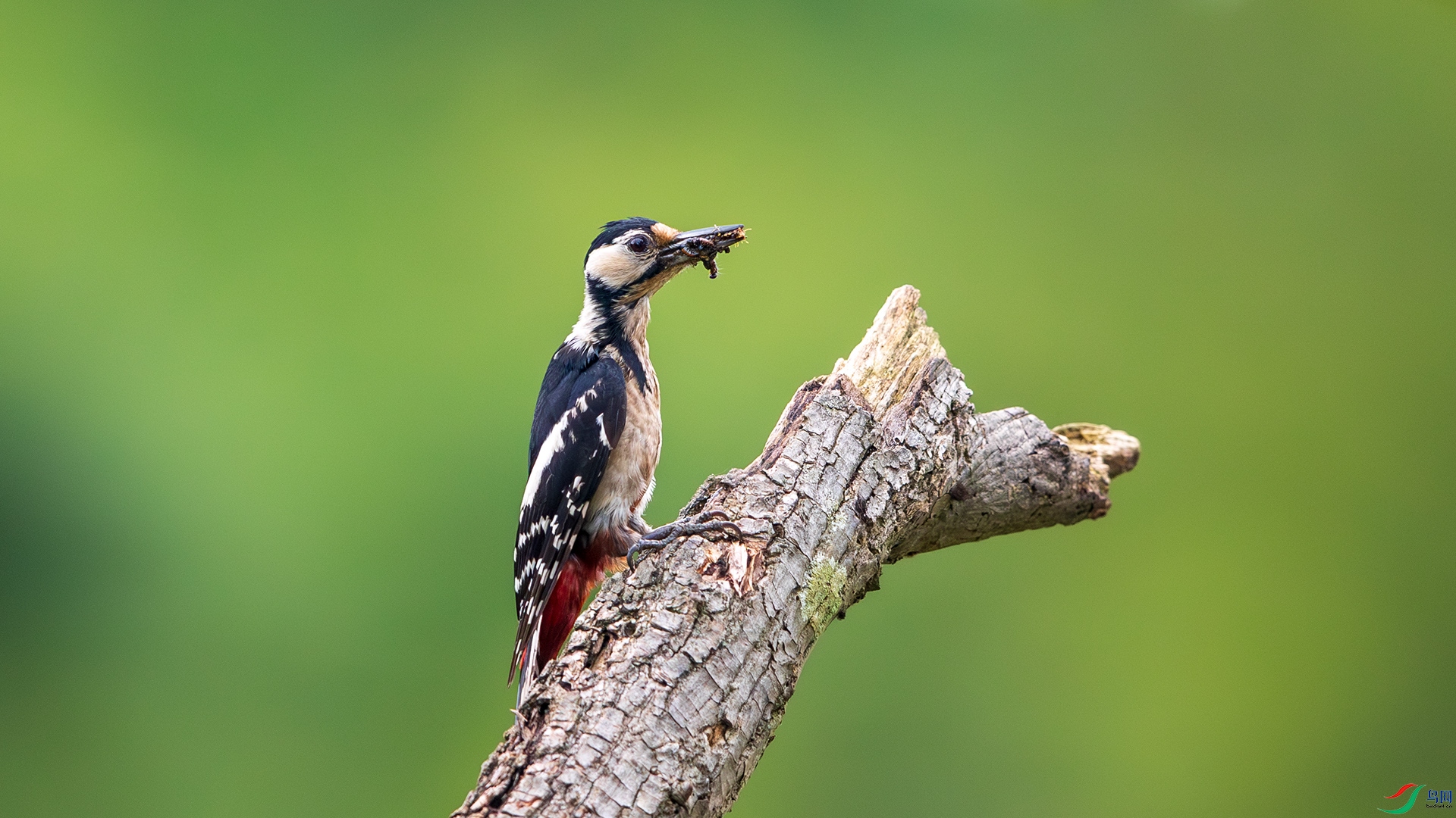 BU3I5772 ����.jpg