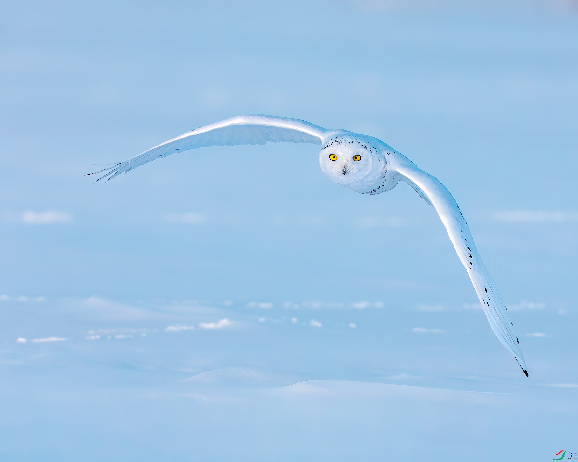 �Ϳշ�һһѩ�^.jpg