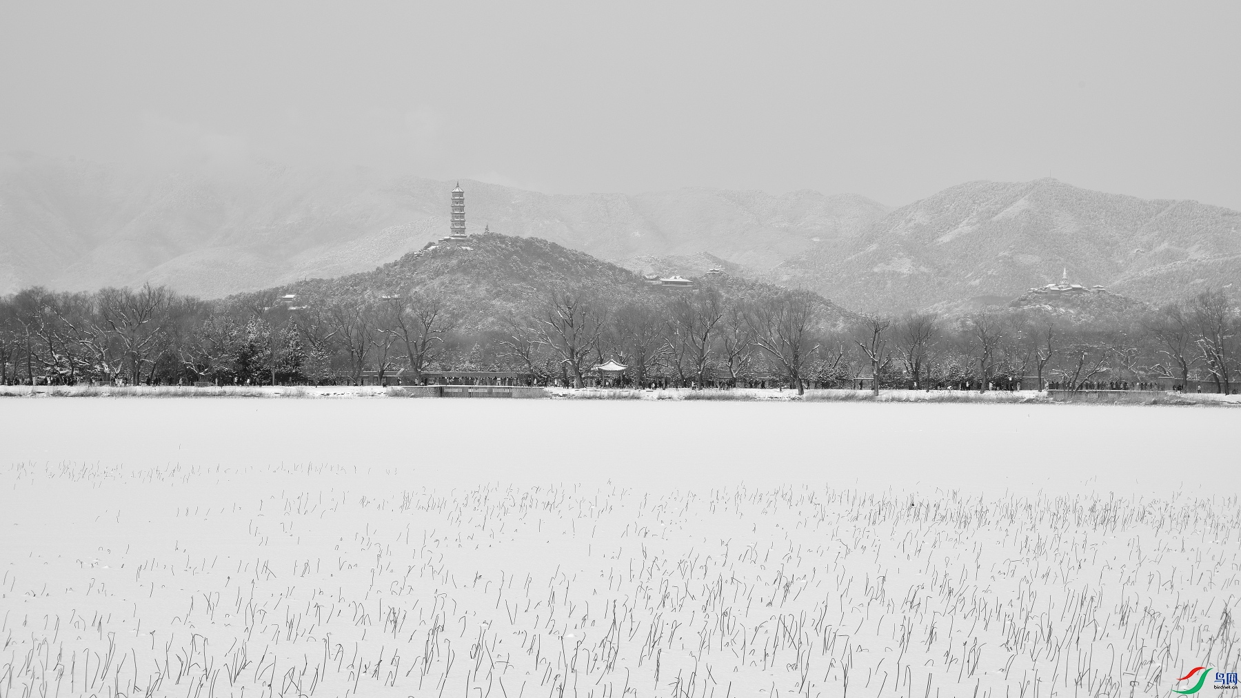 DSC_7644.JPG