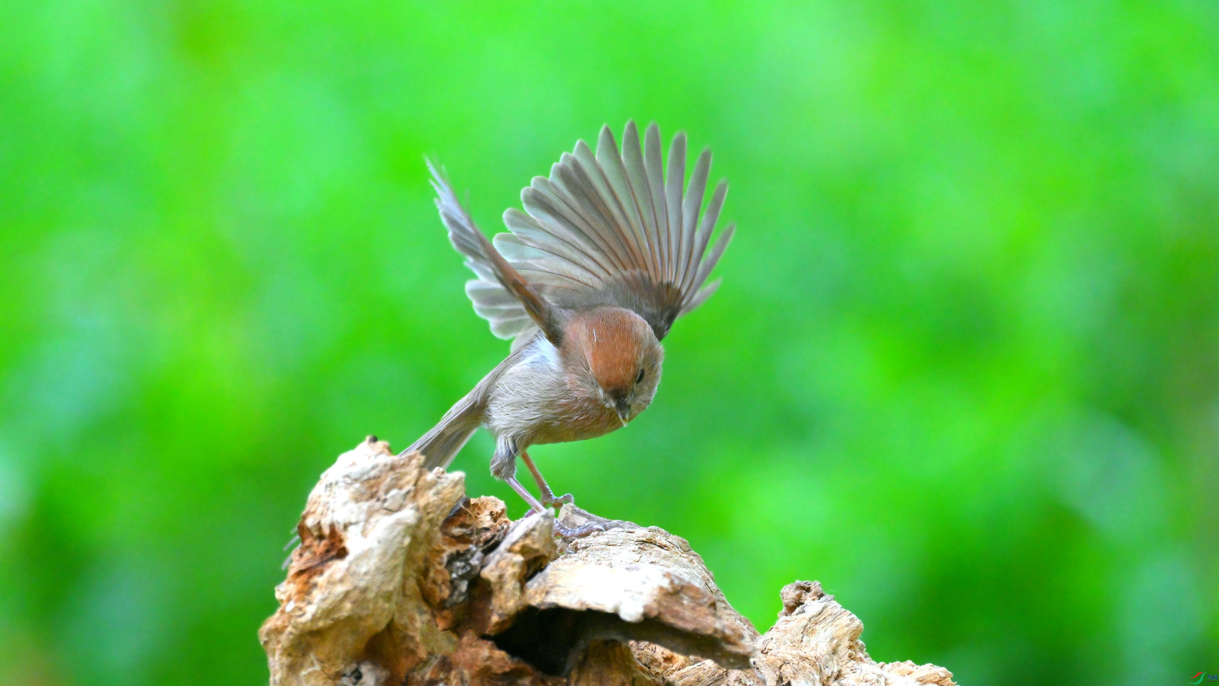 DSC_7660.JPG