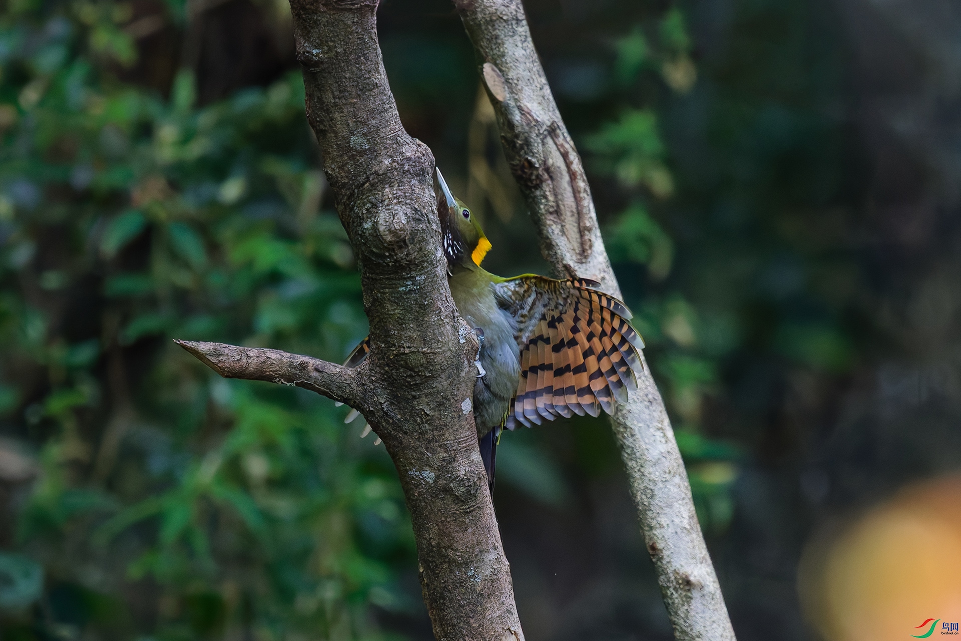 4DSC_8947_DxO_DxOa.jpg