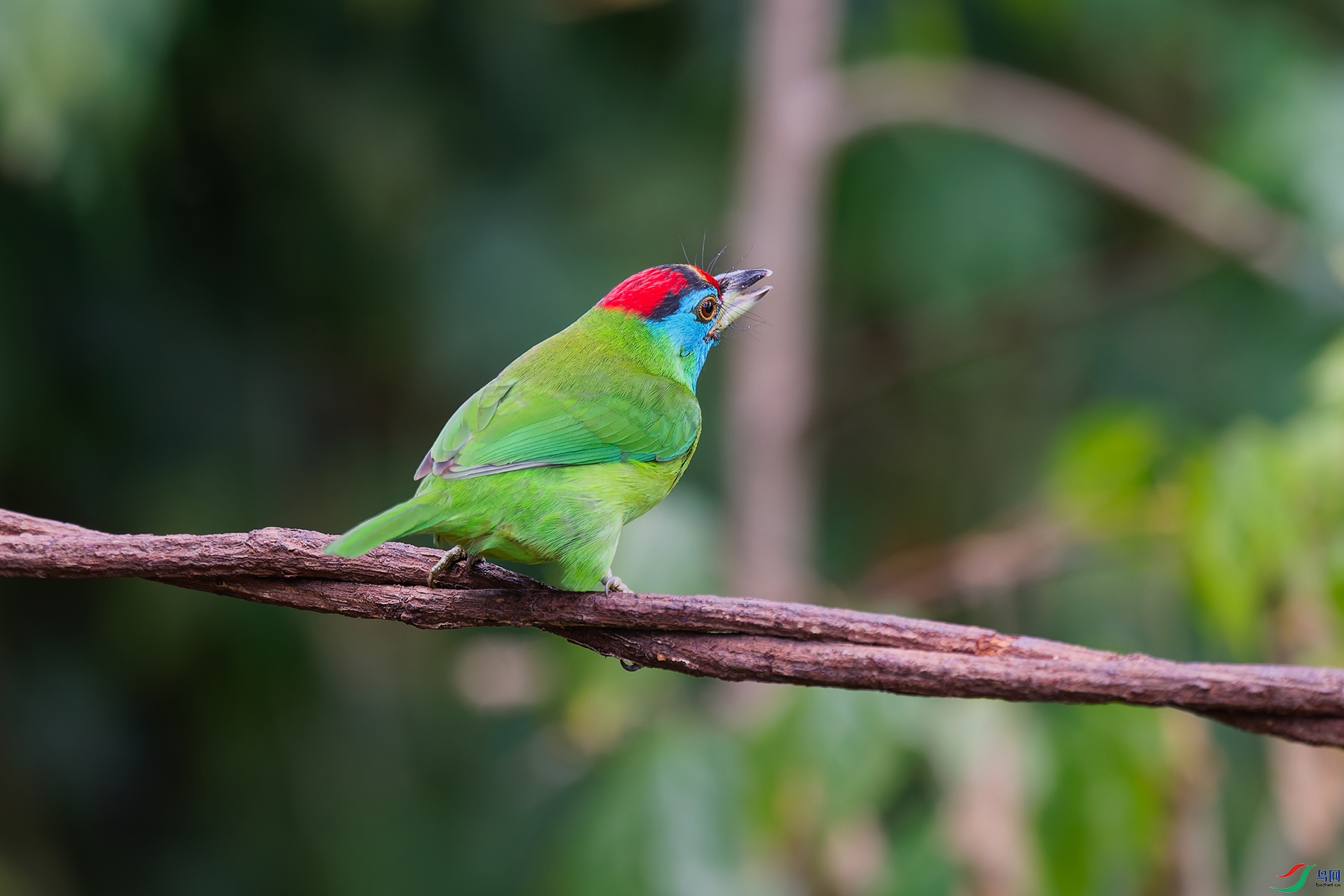 2DSC_8173_DxO_DxOa.jpg