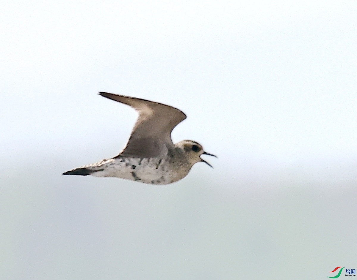 3A4465-1����a-26.jpg