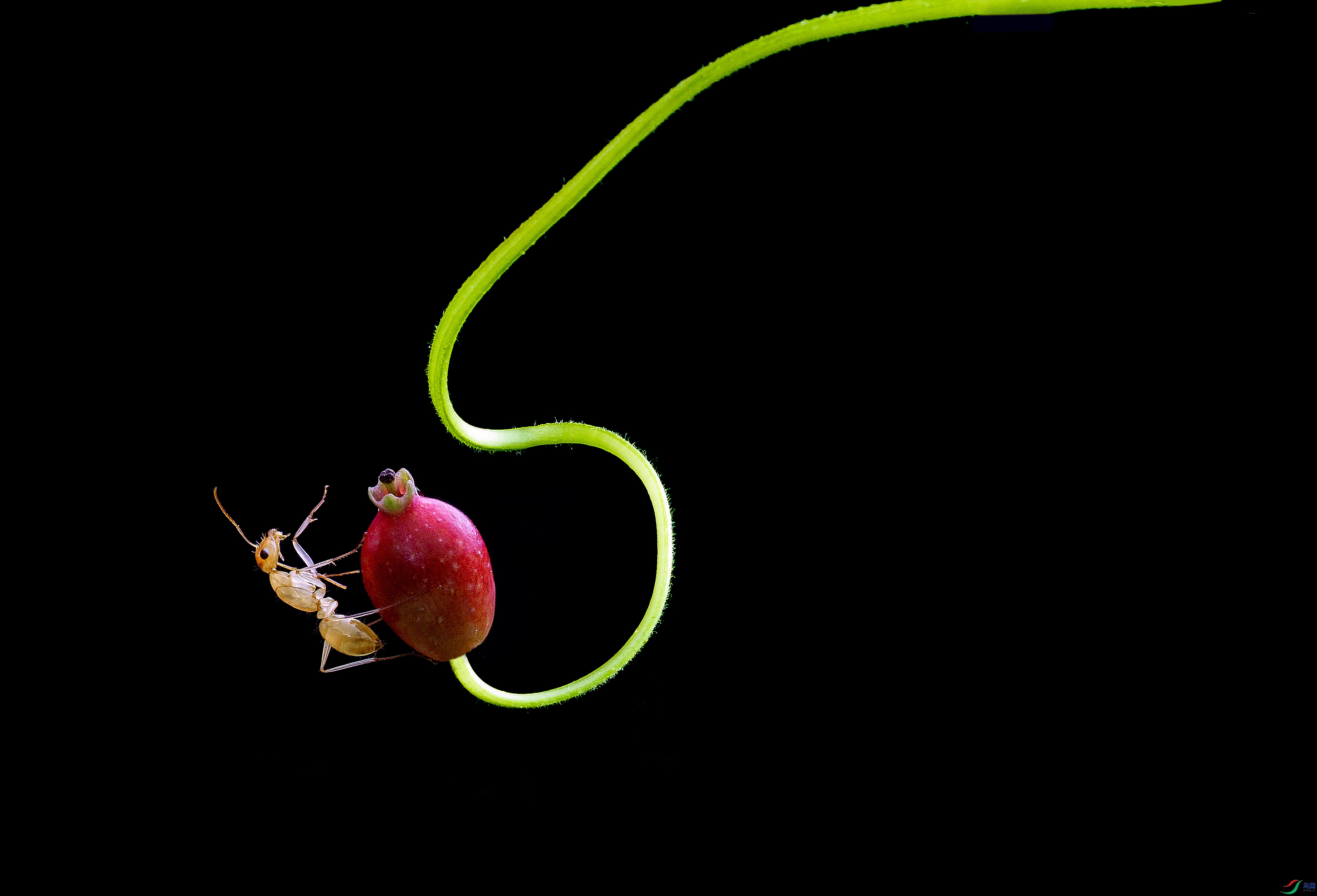181A4056.jpg