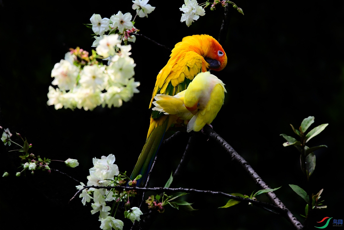 DSC_8851.JPG