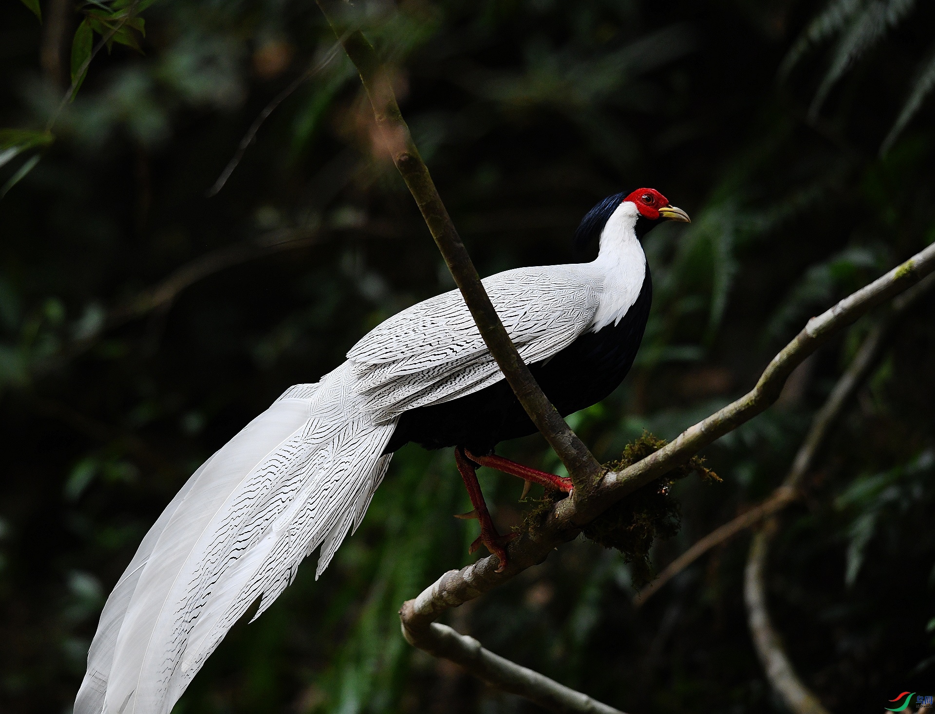 DSC_9064.jpg