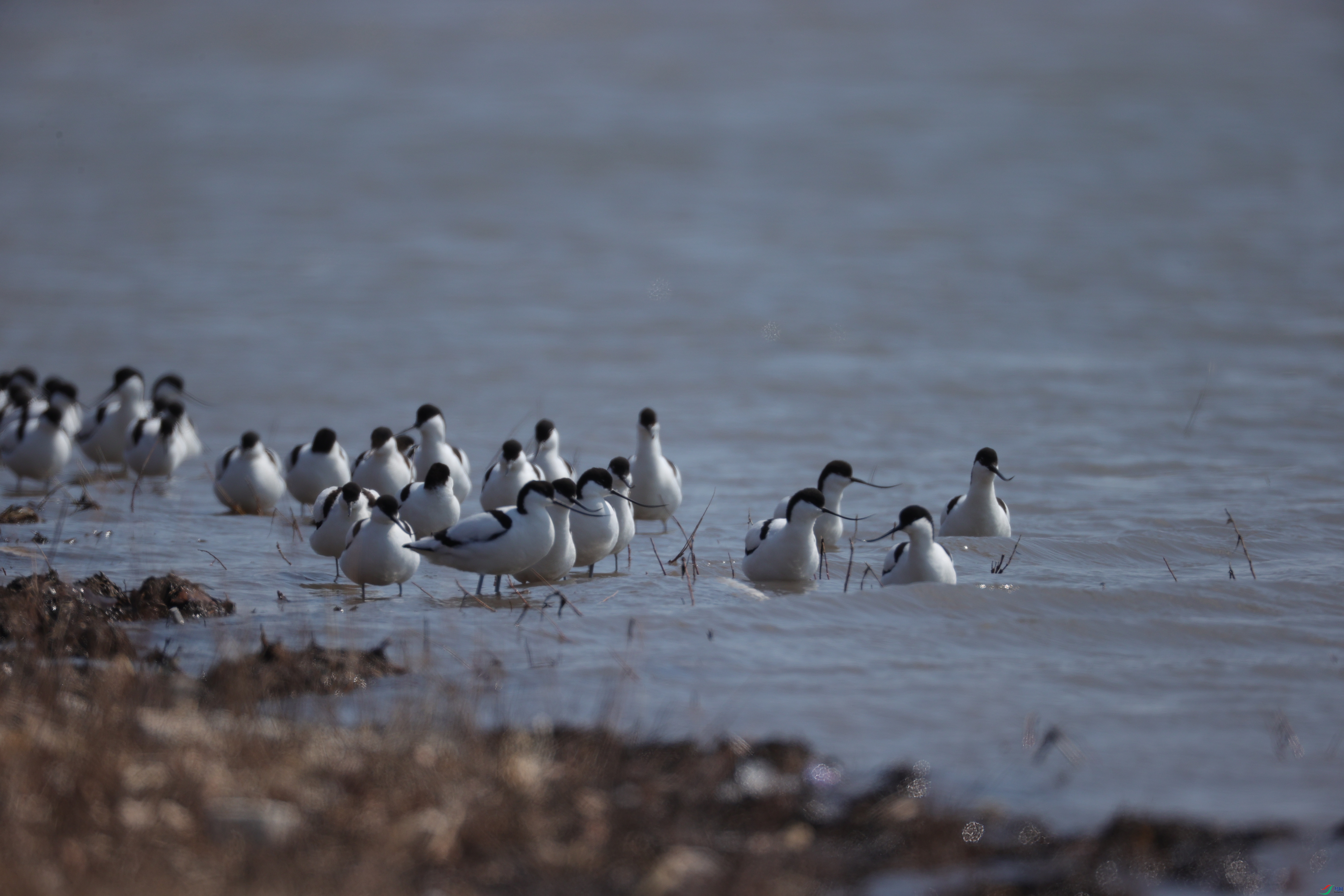 ������401