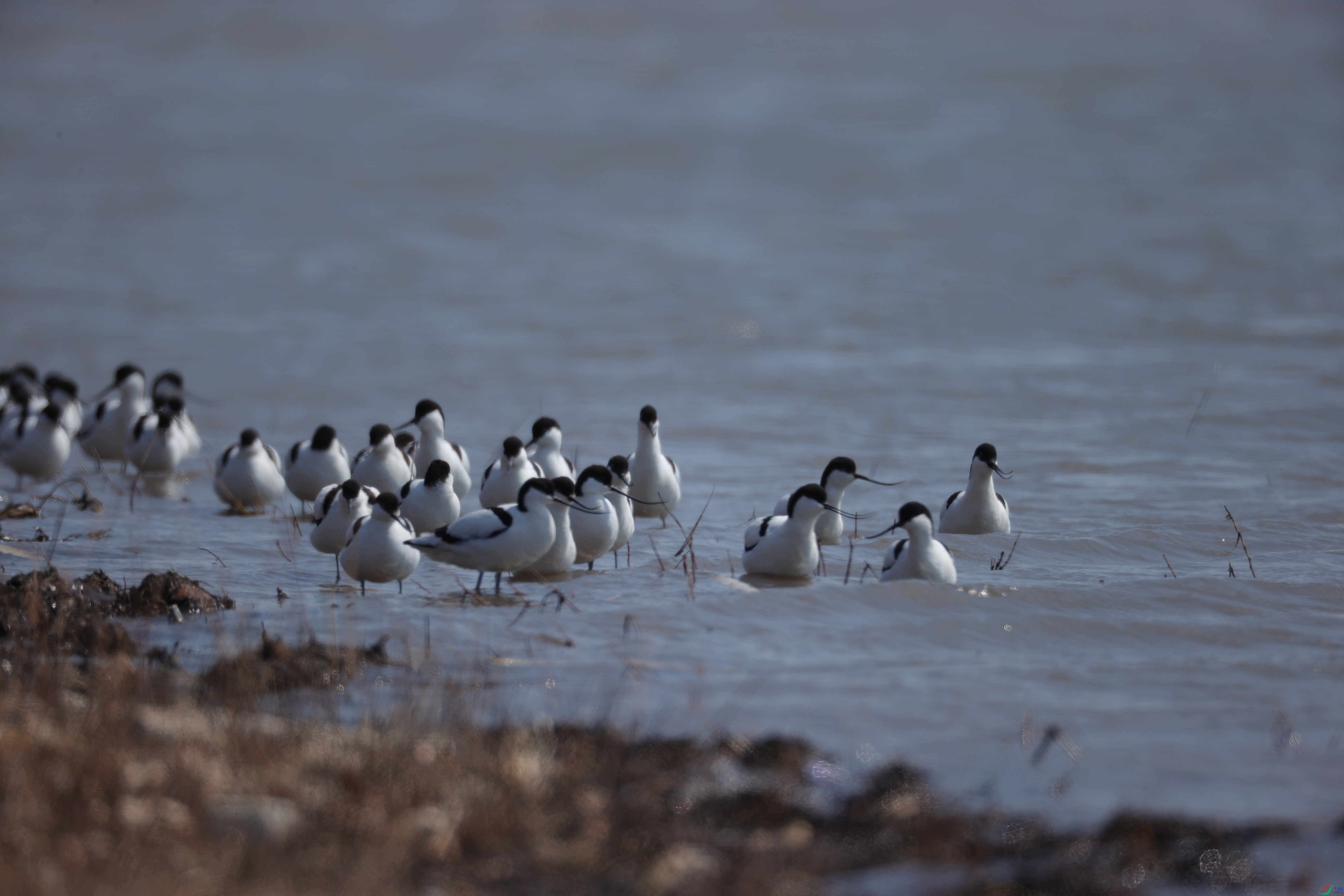 ������02