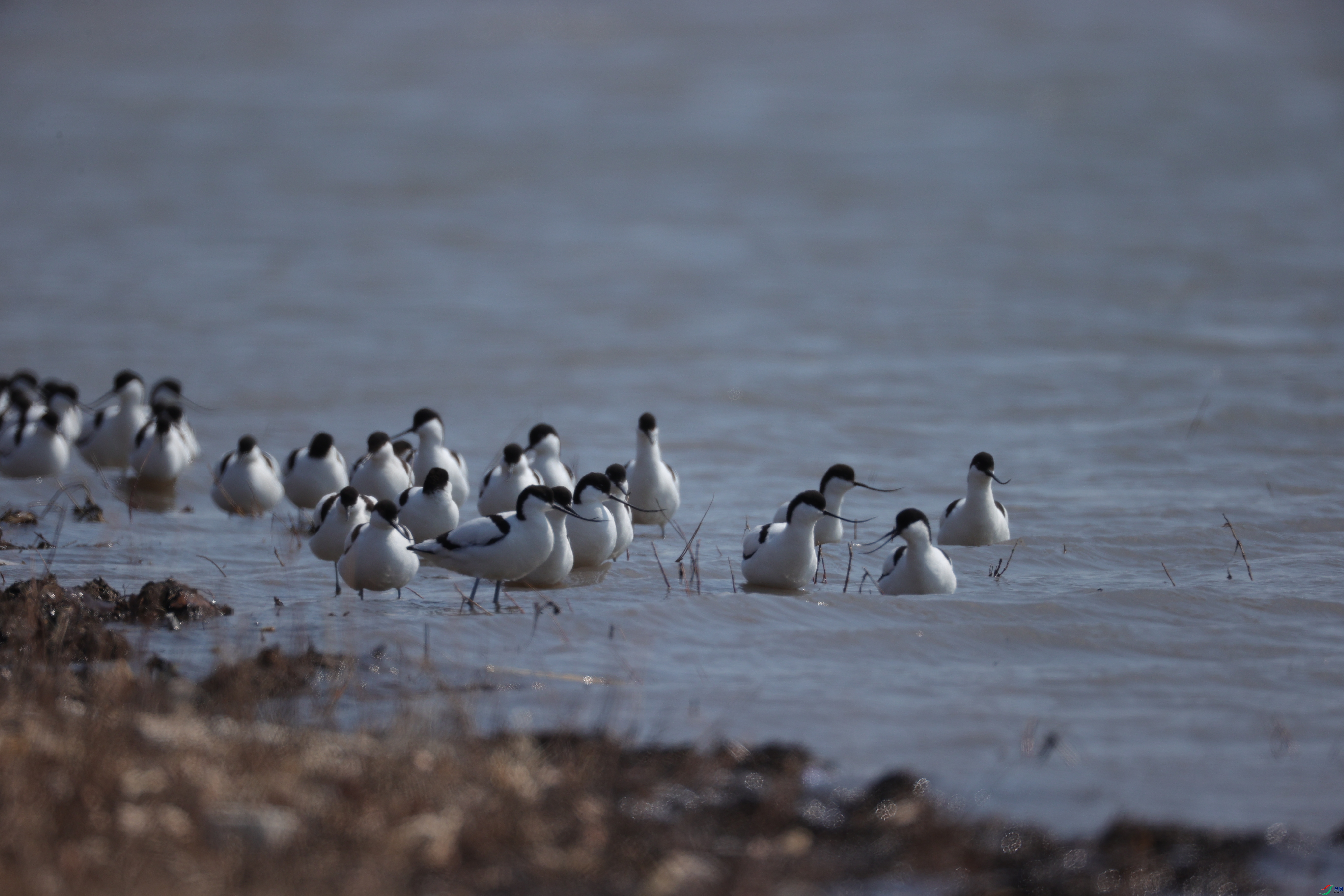 ������04