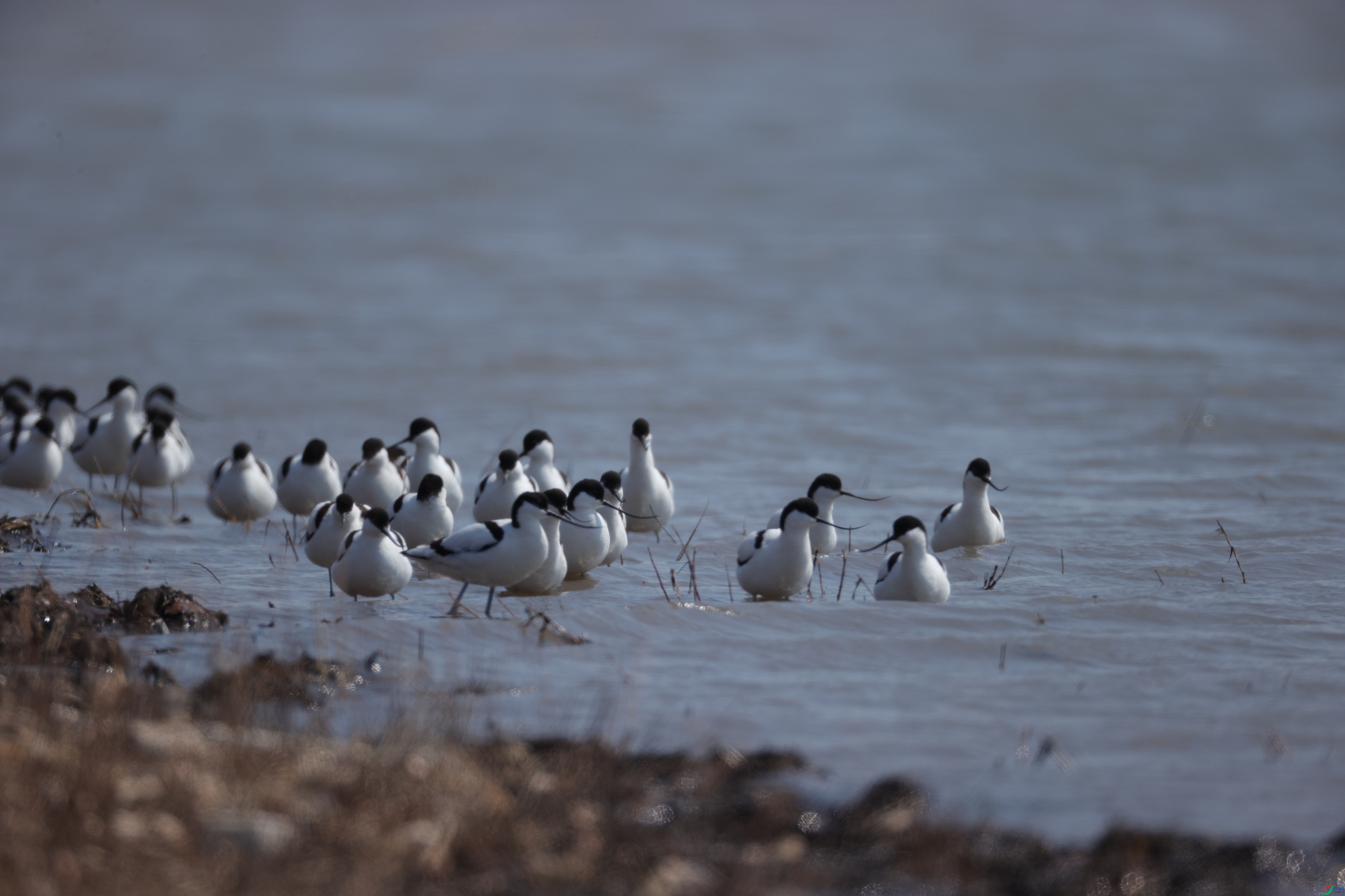 ������06