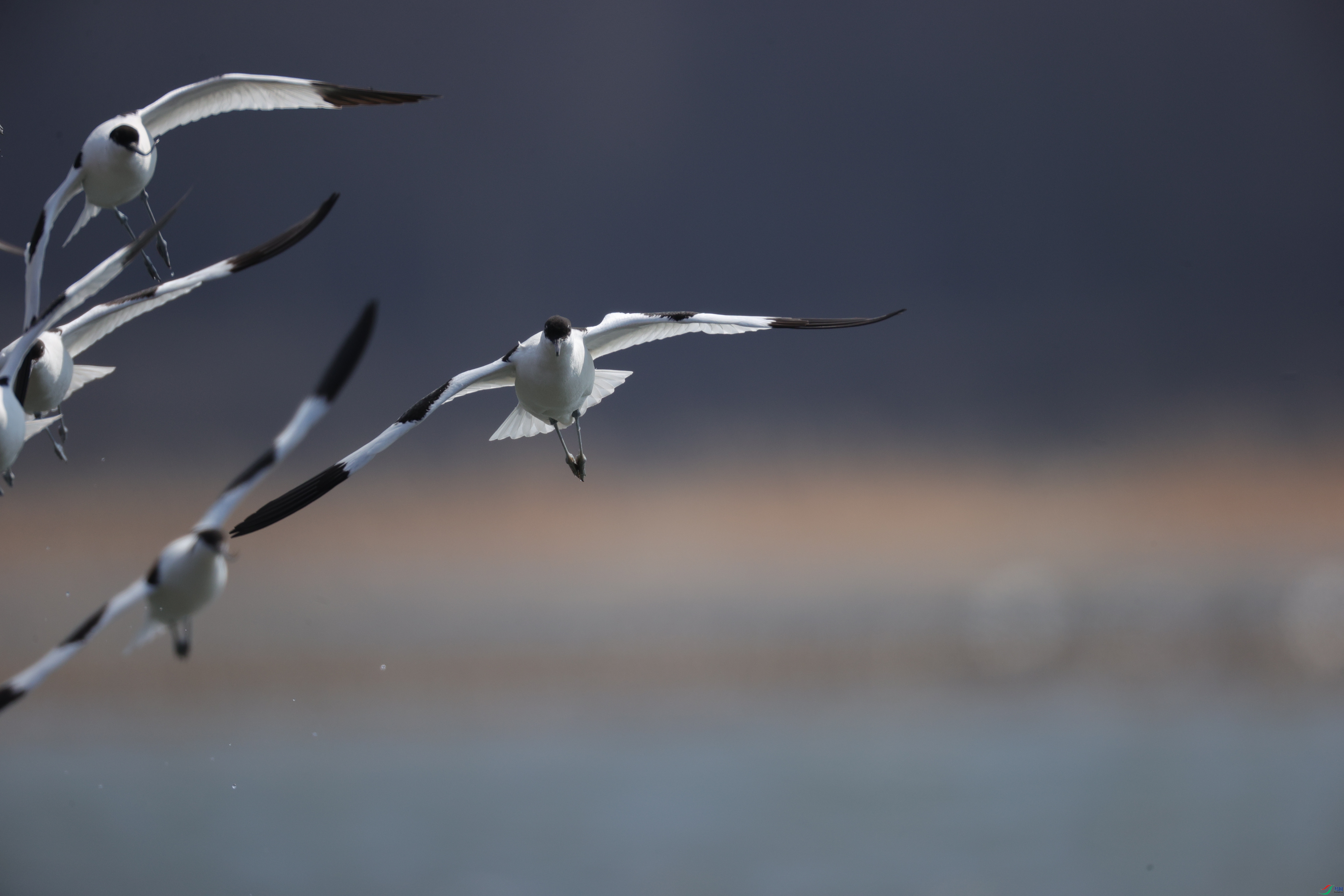 ������10