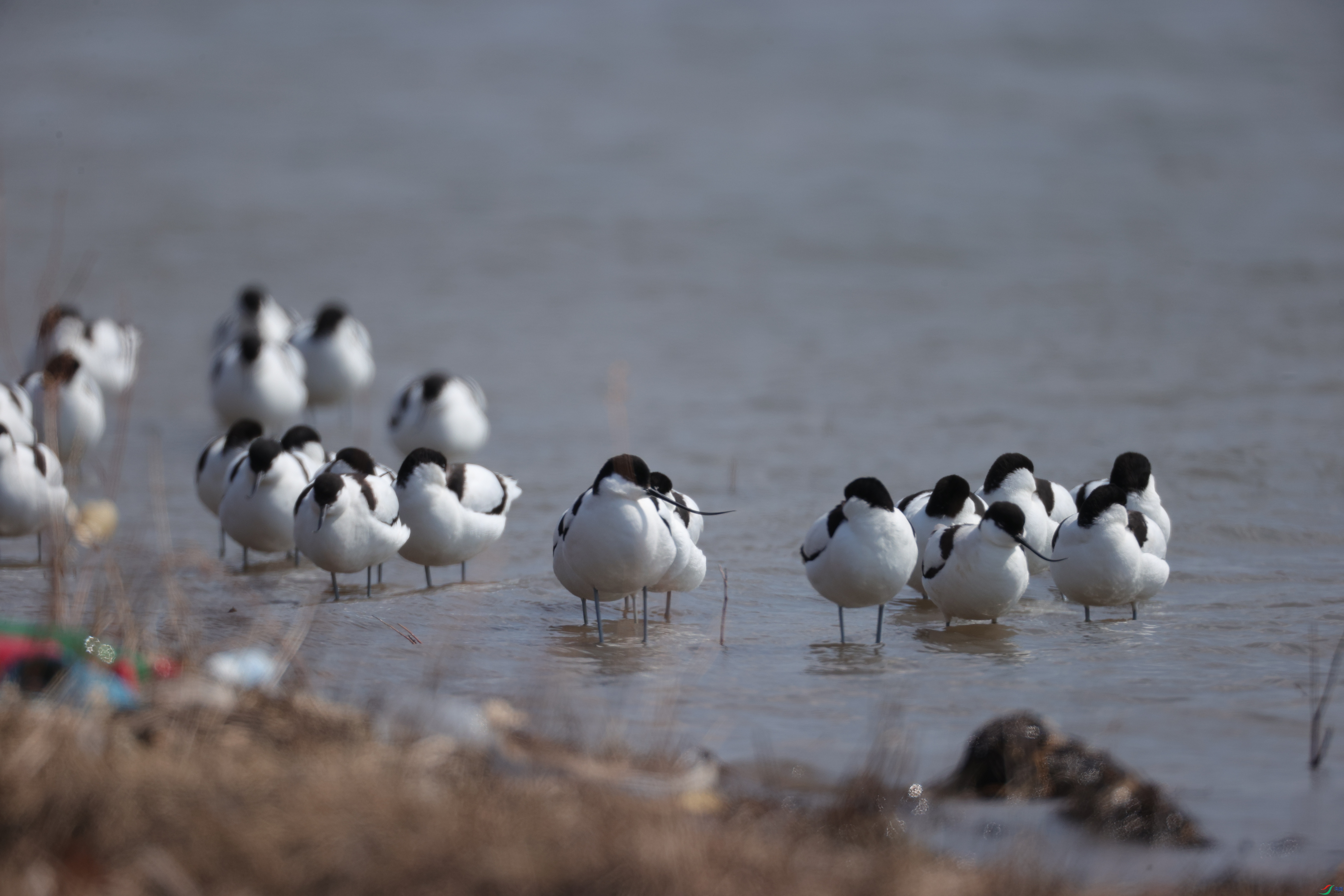 ������25