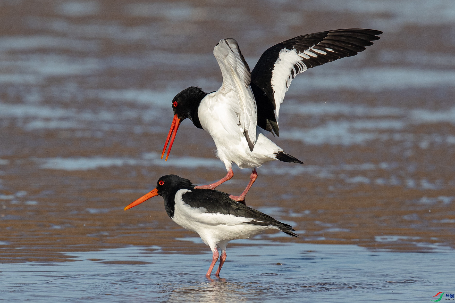 _90I5328 ����.jpg