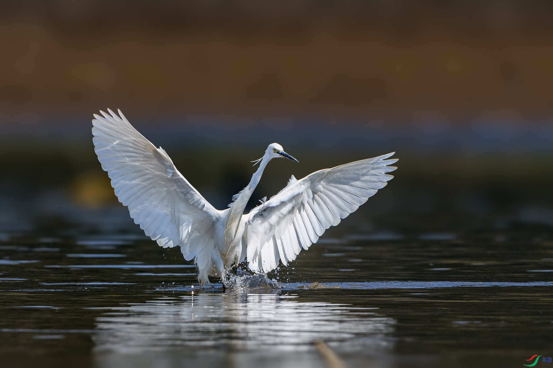 _AUU6550 С����(25.2.15).jpg