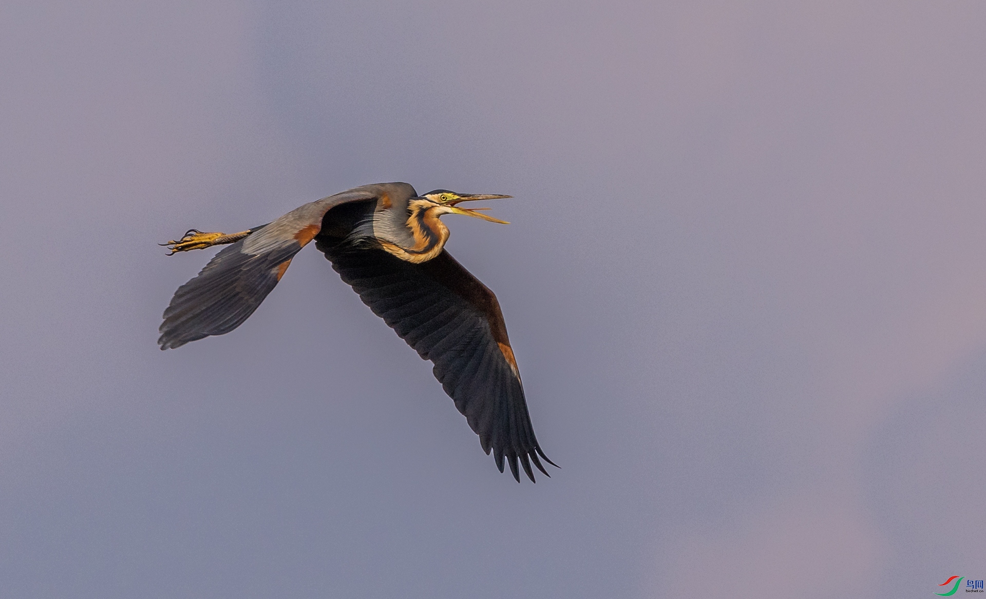 0E8A2669���� ���� 02.jpg