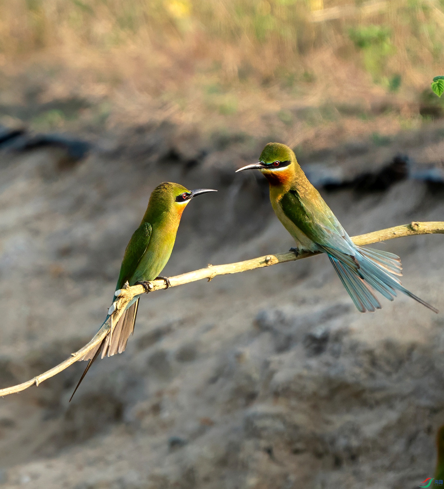 DSC09230-topaz-denoise-sharpen_����_����.jpg