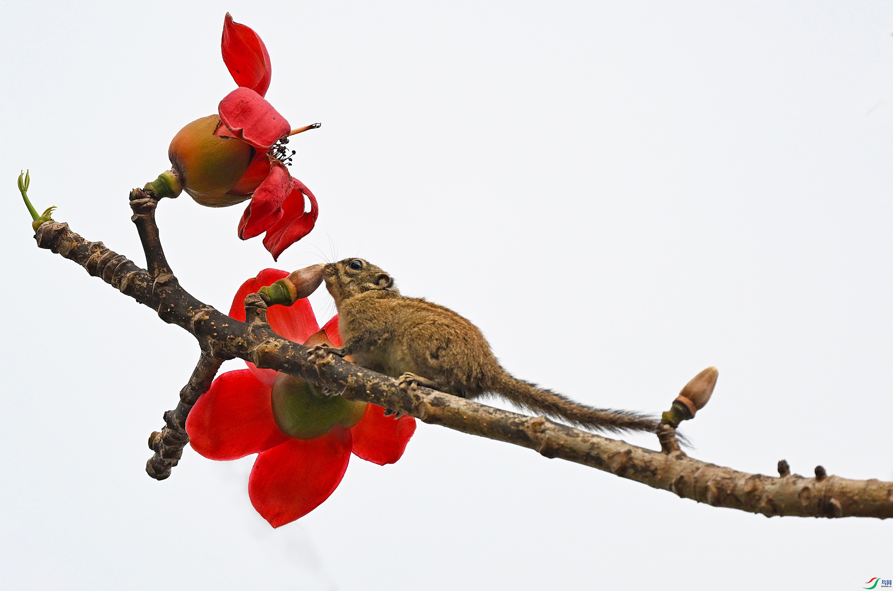 DSC_2464--1 ��������.jpg