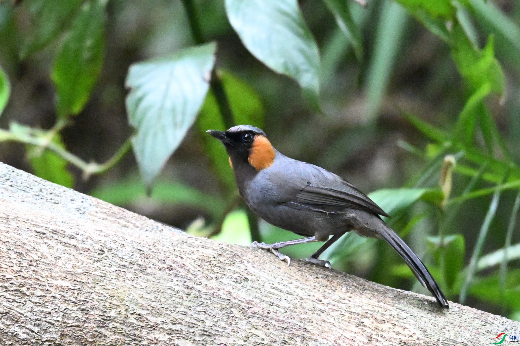 DSC_7643.JPG