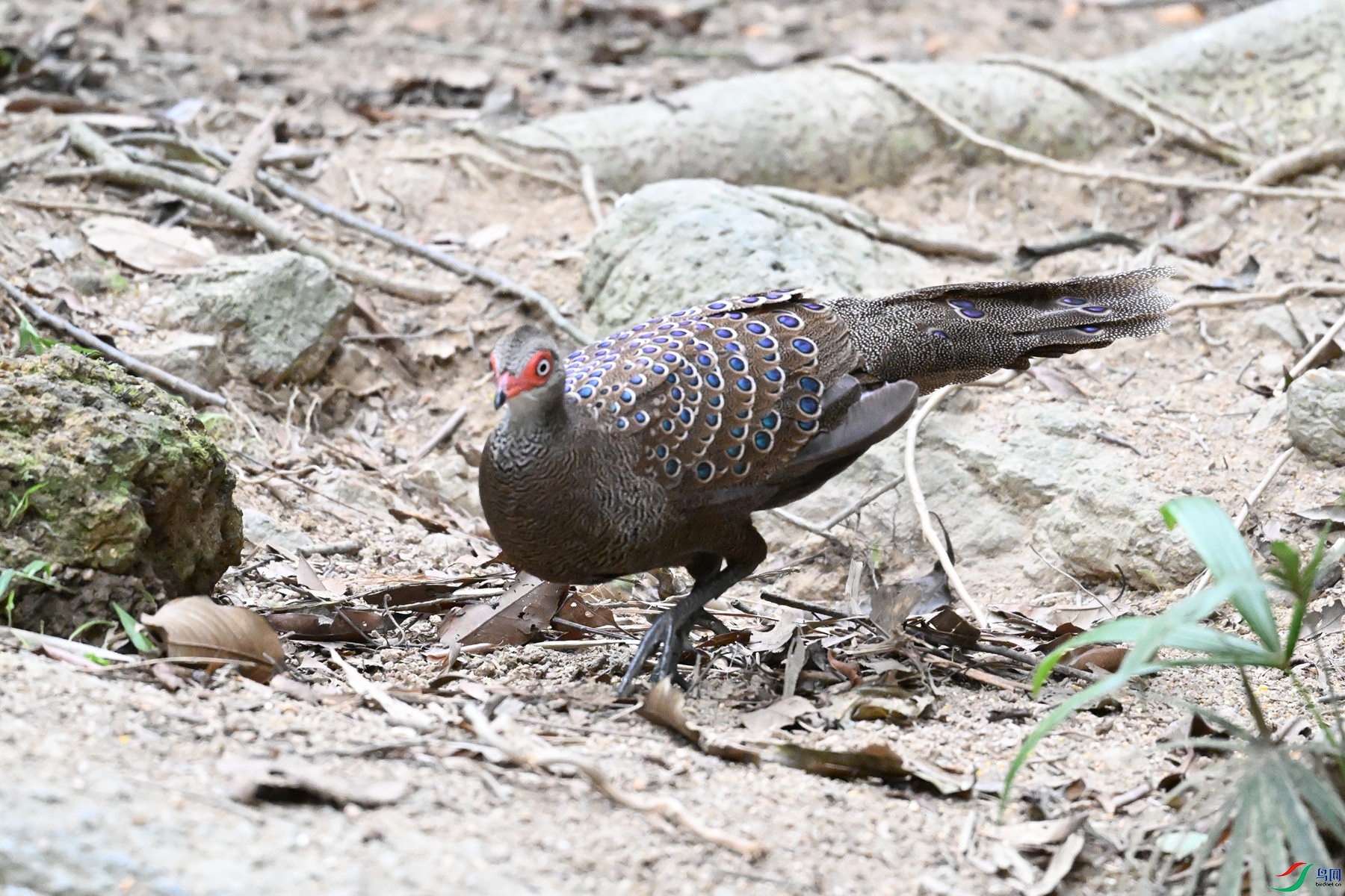 DSC_7624.JPG