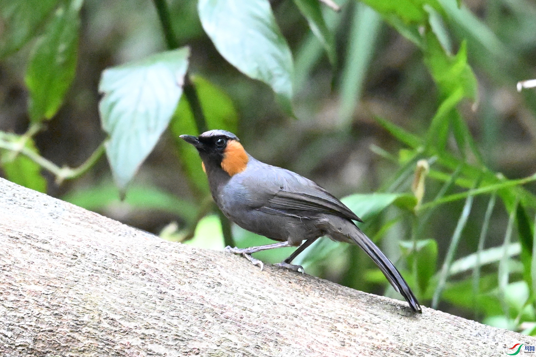 DSC_7644.JPG