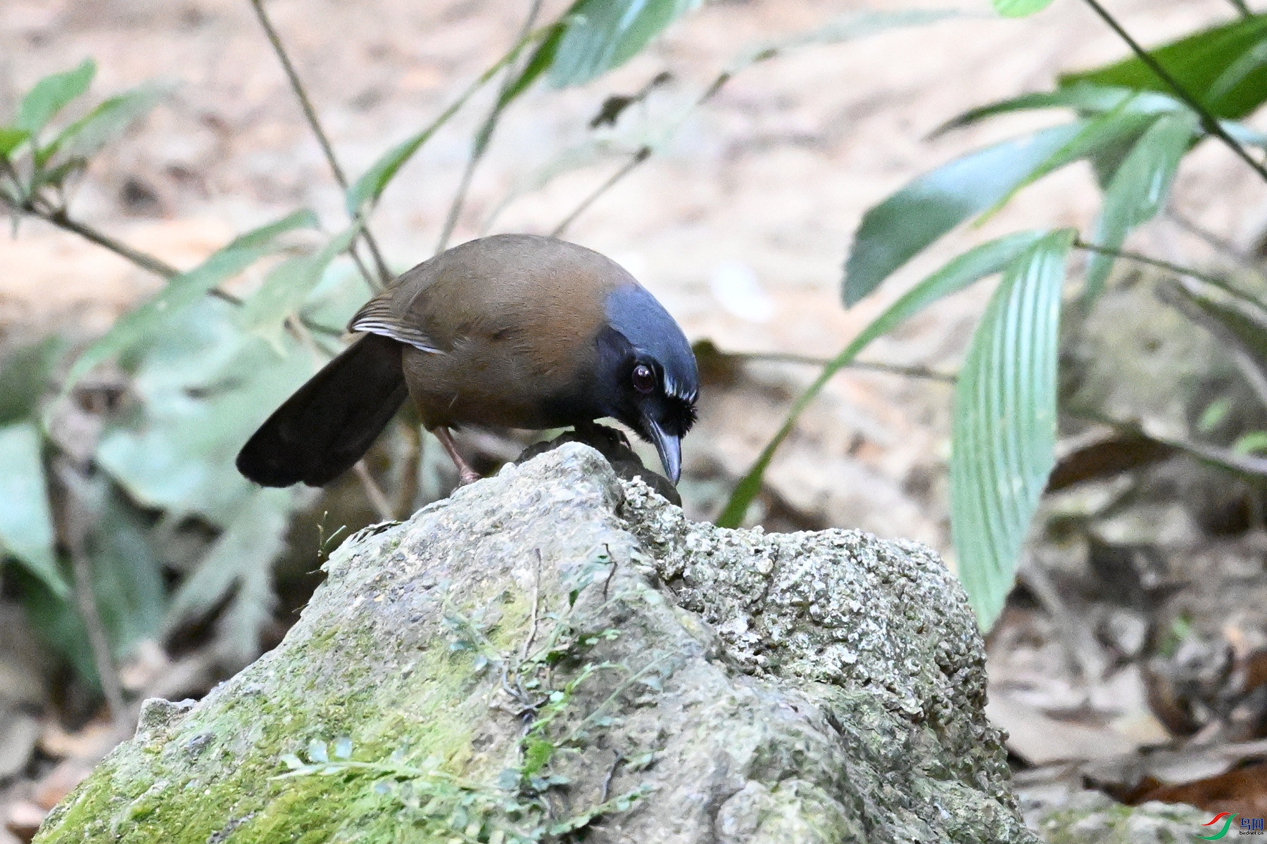DSC_7649.JPG