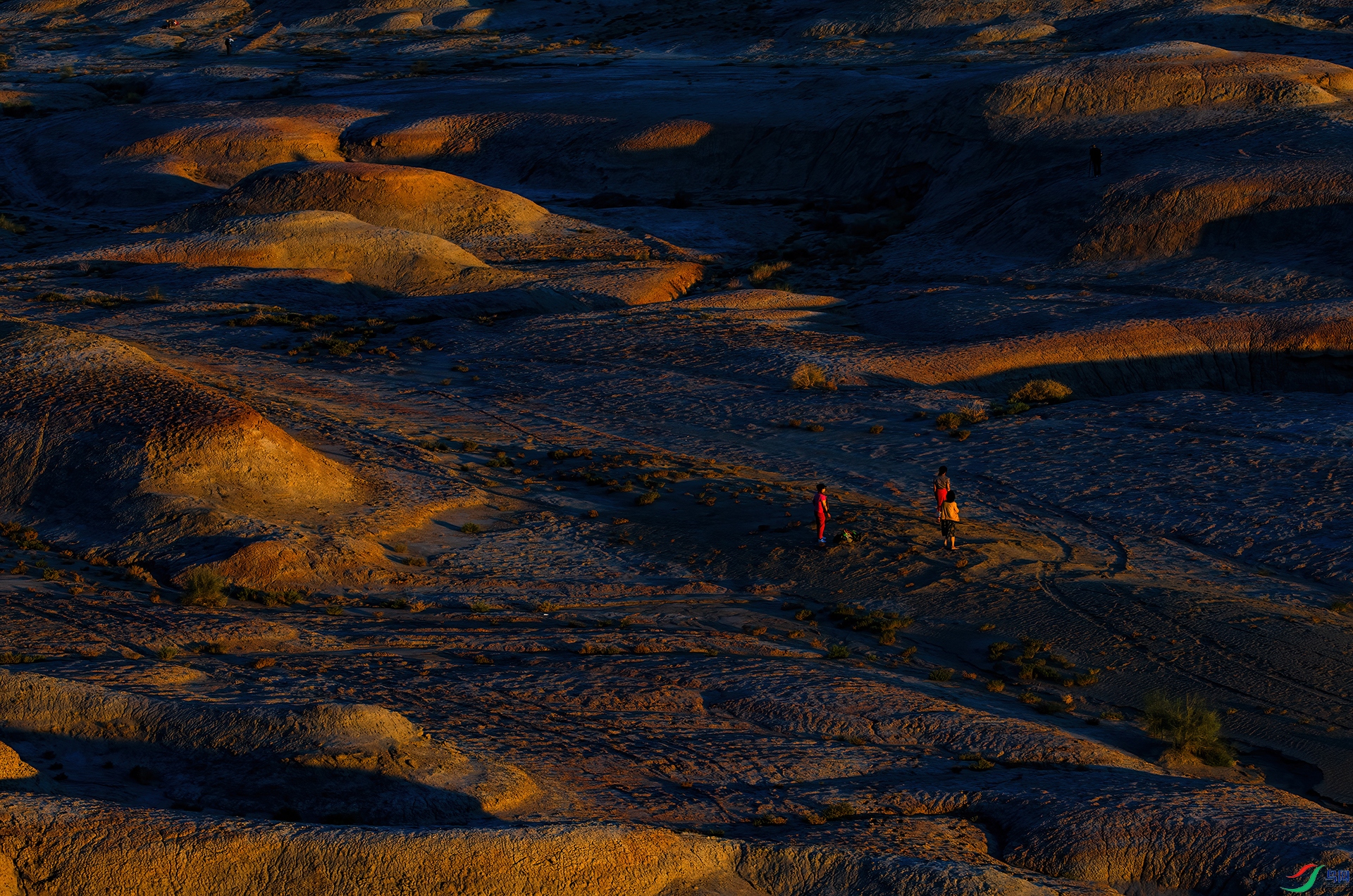 _DSC8245- ħ���ǹ�Ӱ.jpg