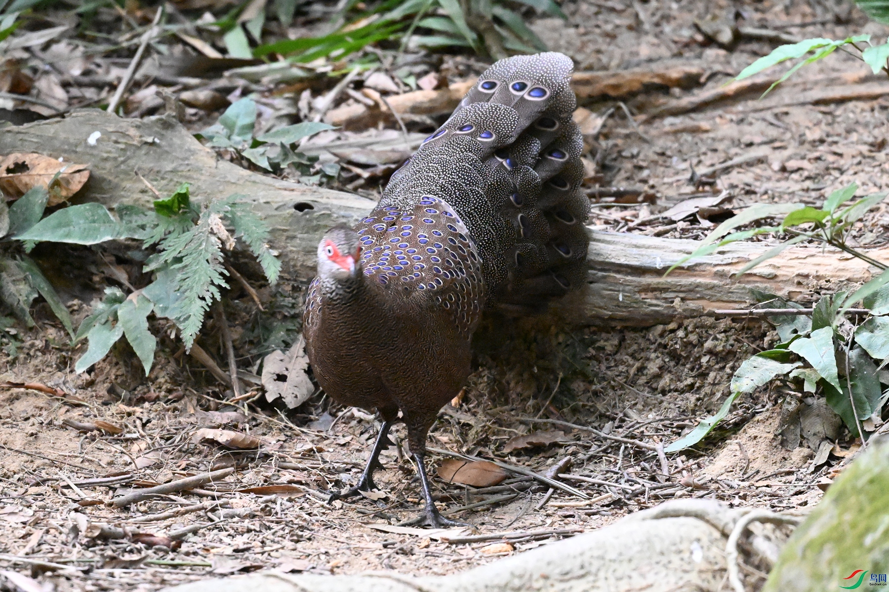 DSC_7684.JPG