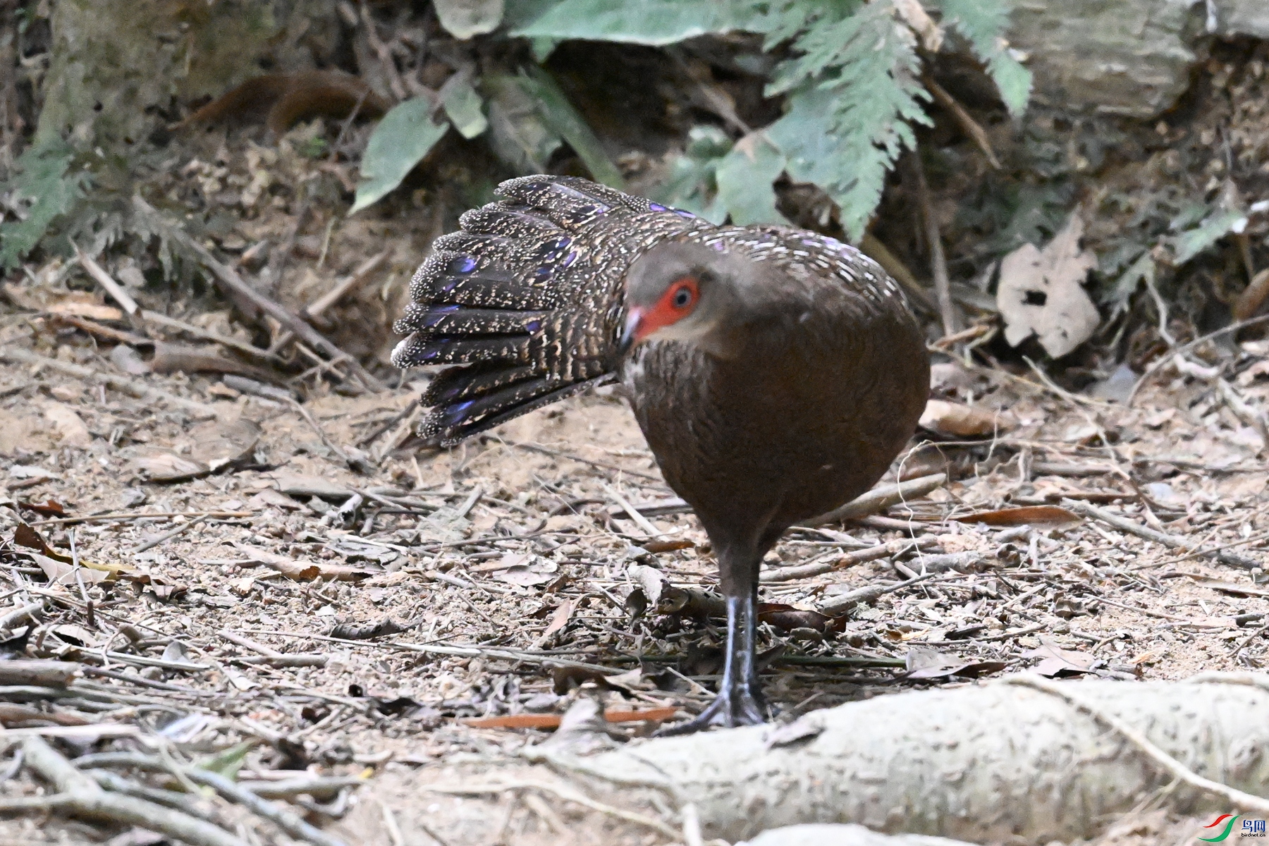DSC_7668.JPG