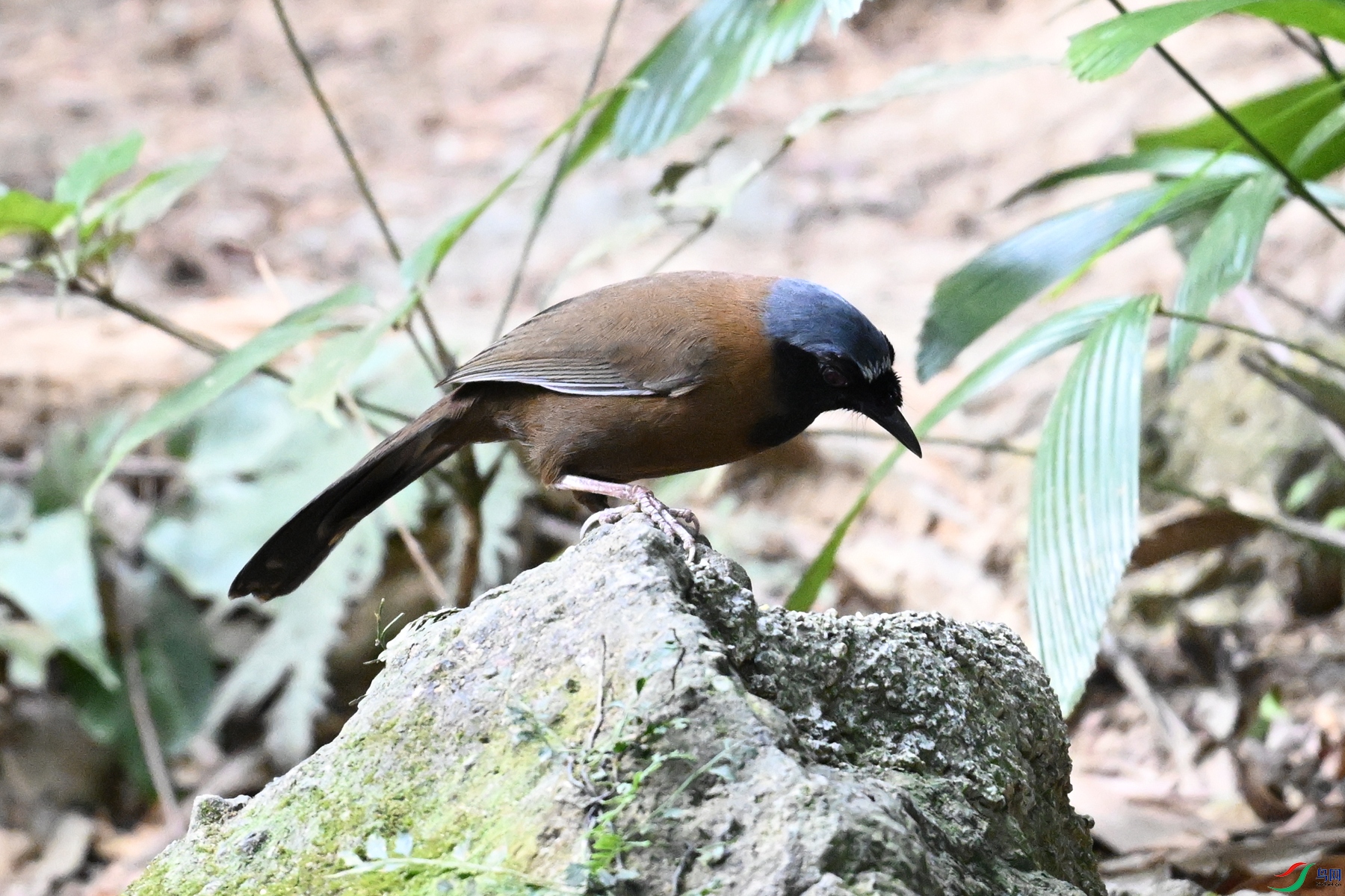 DSC_7660.JPG
