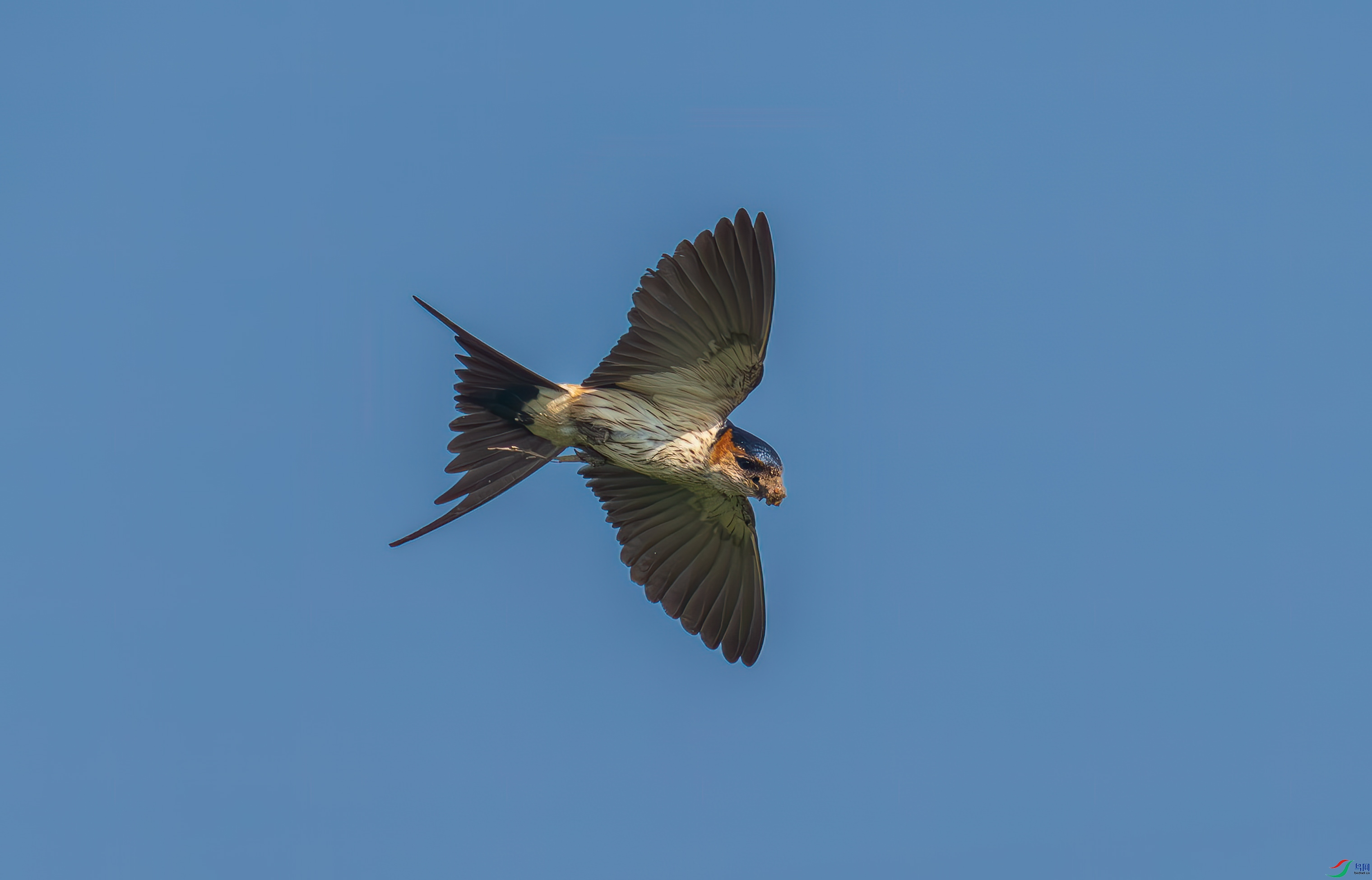 DSC_8275.jpg