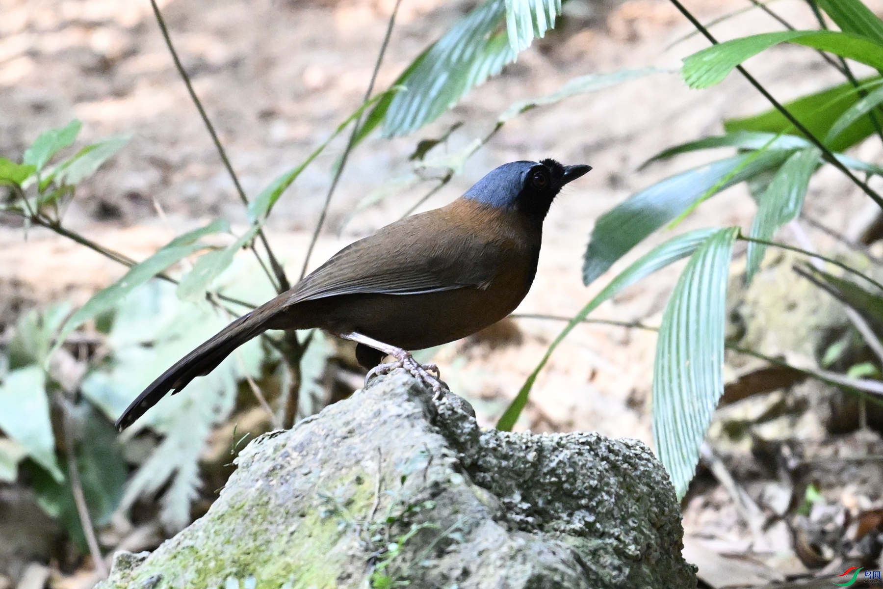 DSC_7664.JPG