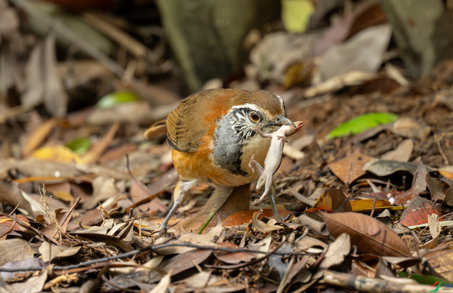 DSC_7120.jpg