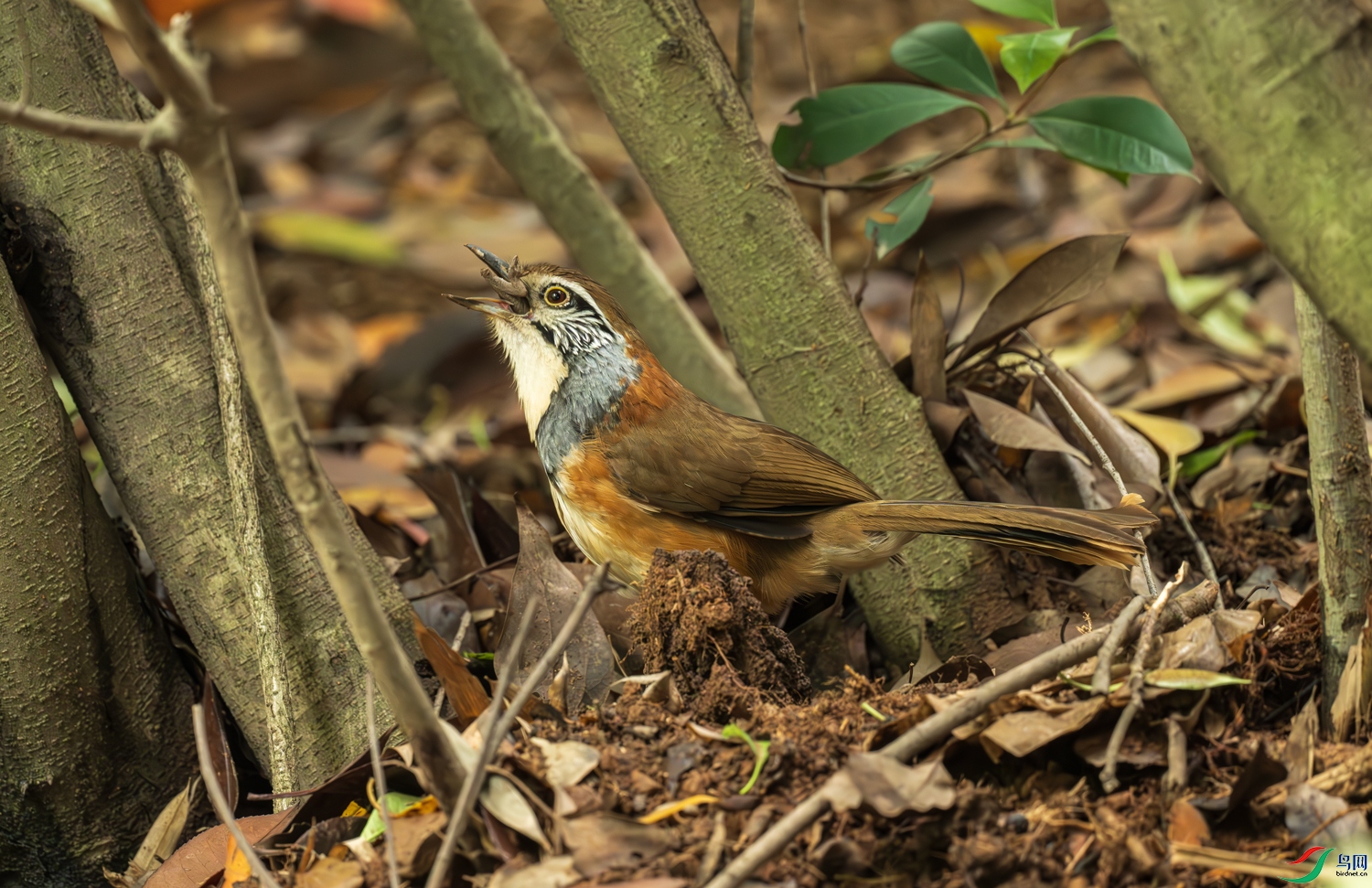 DSC_7657.jpg