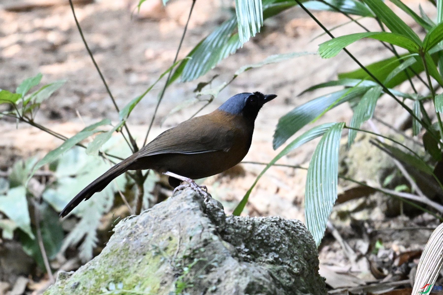 DSC_7666.JPG