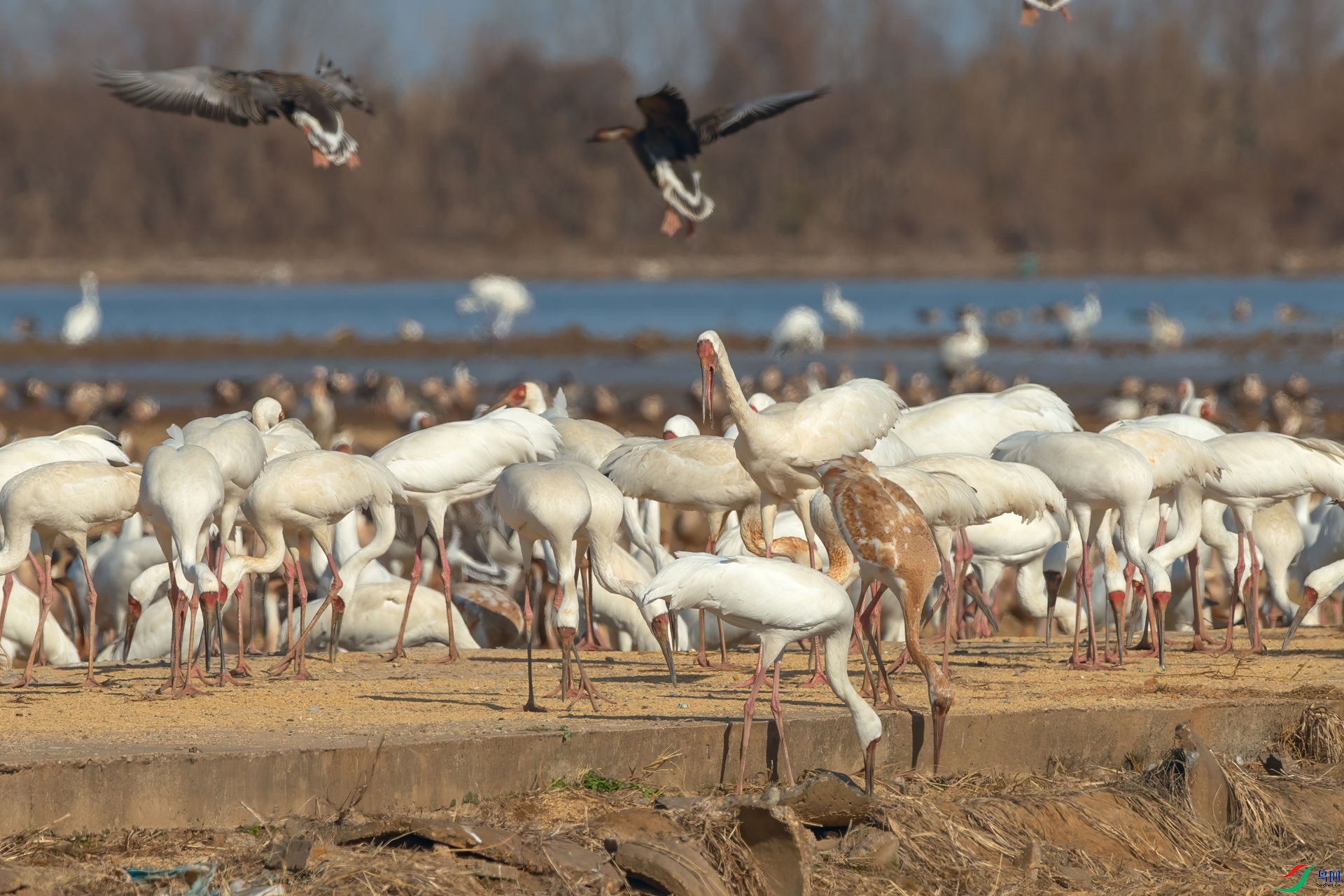 B86I0738 _����.jpg