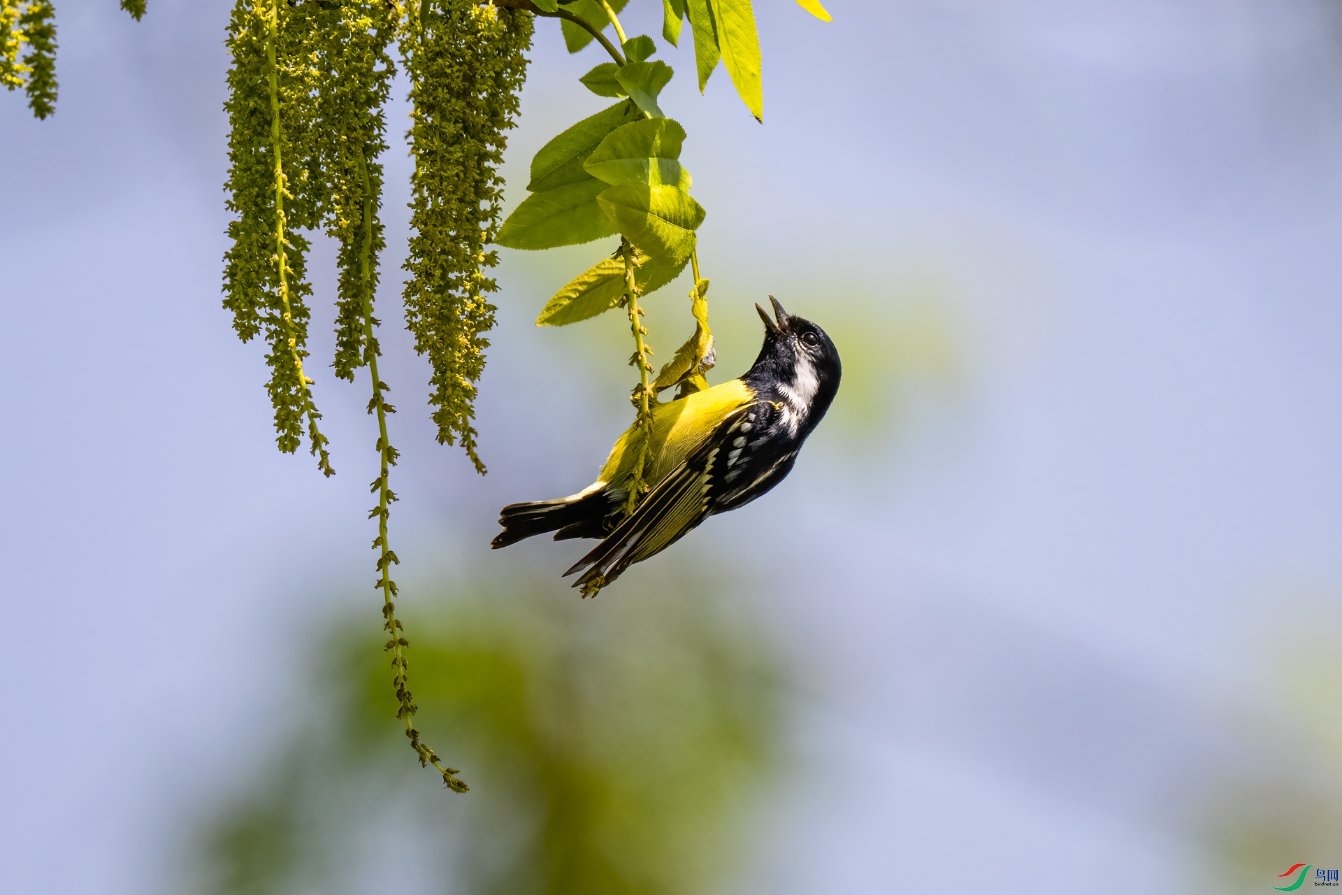 DSC_4688.jpg