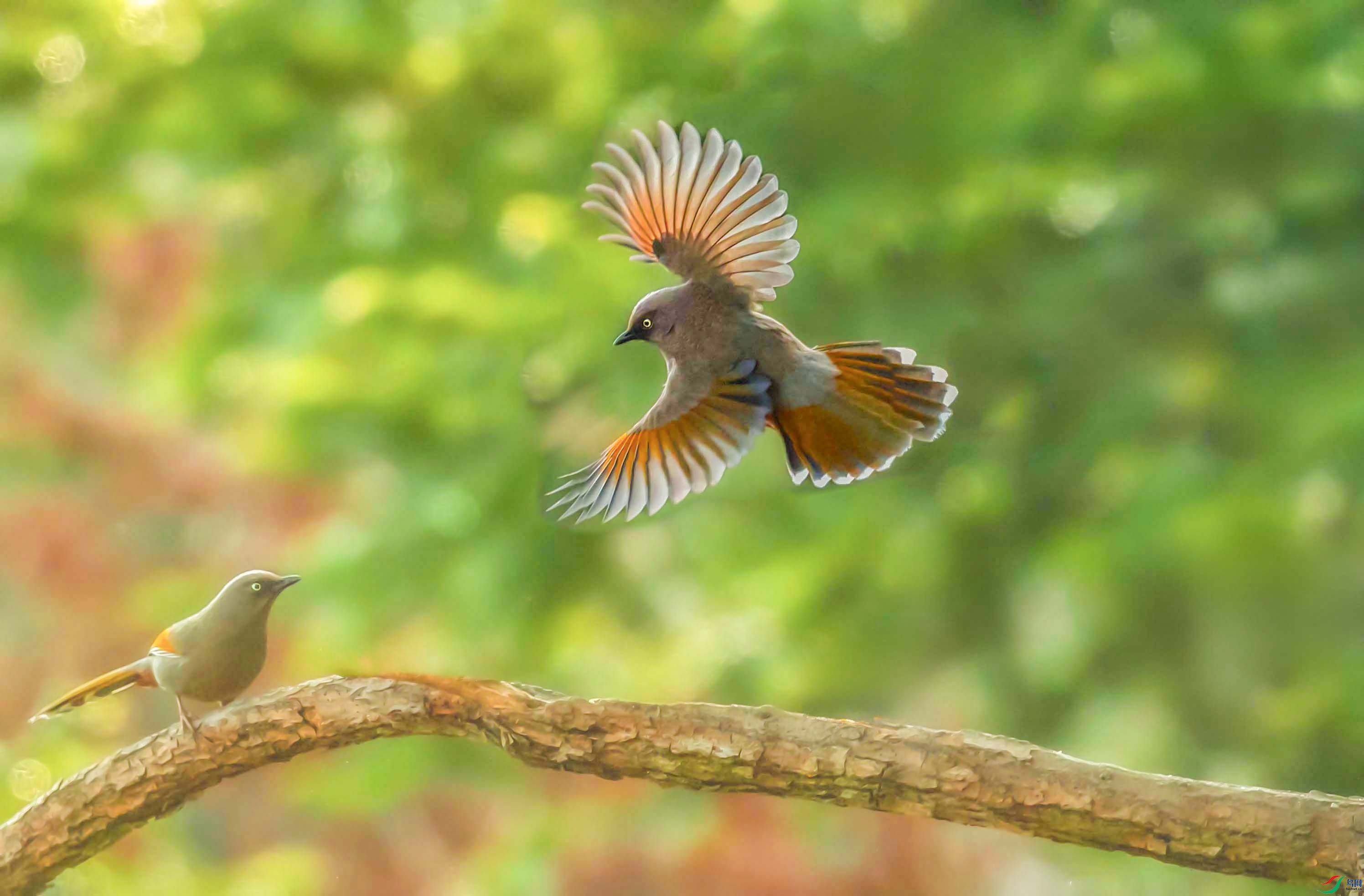 0N6A6378 ������������ ���� 4.jpg